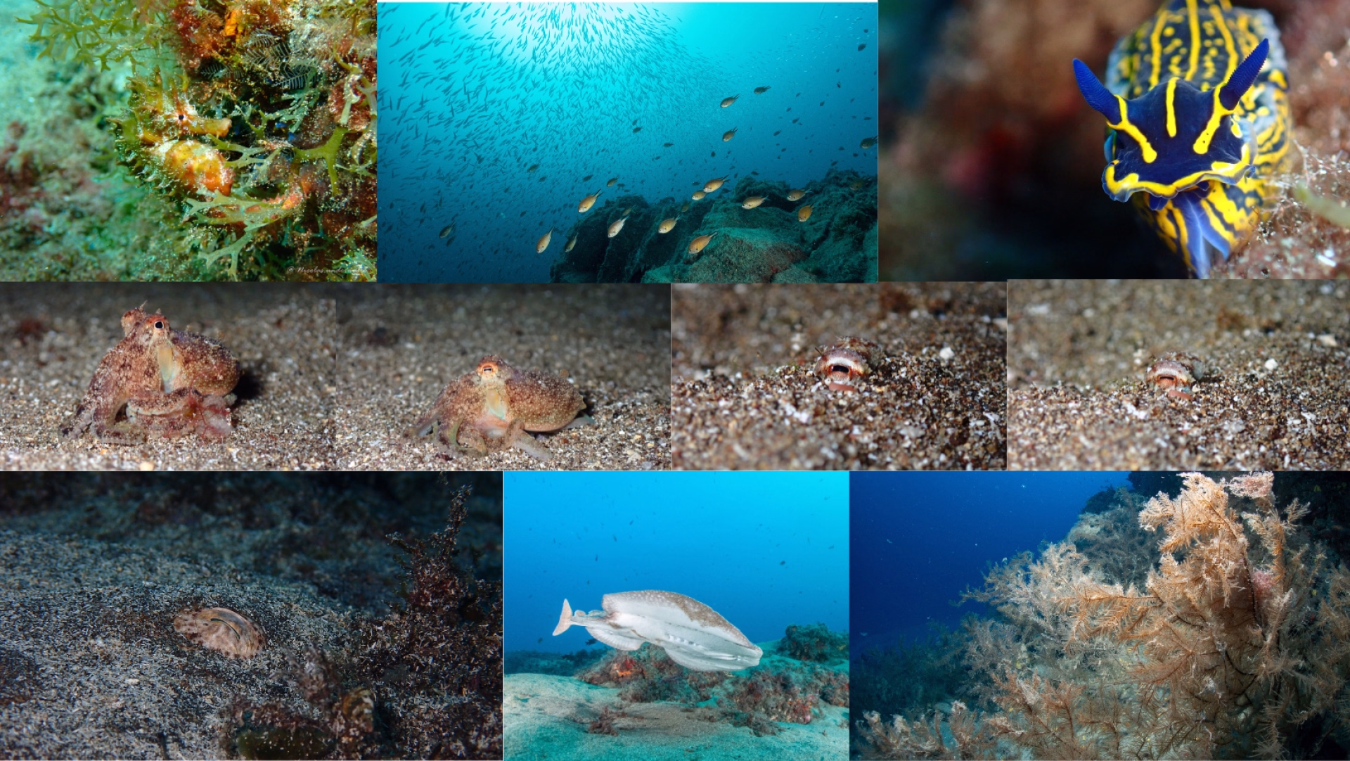 Débuter la plongée en famille à Lanzarote