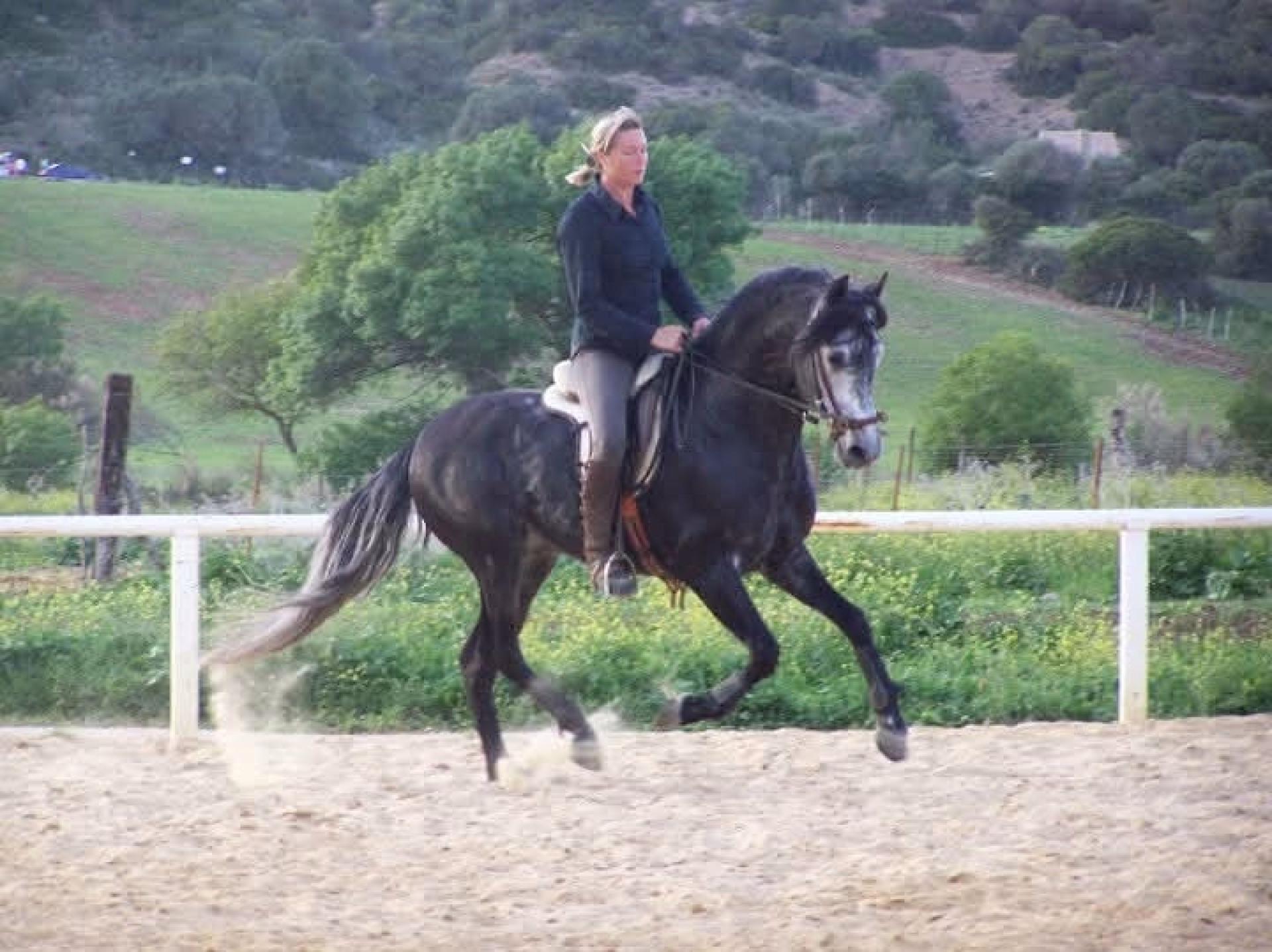 Stage équestre de dressage en Andalousie