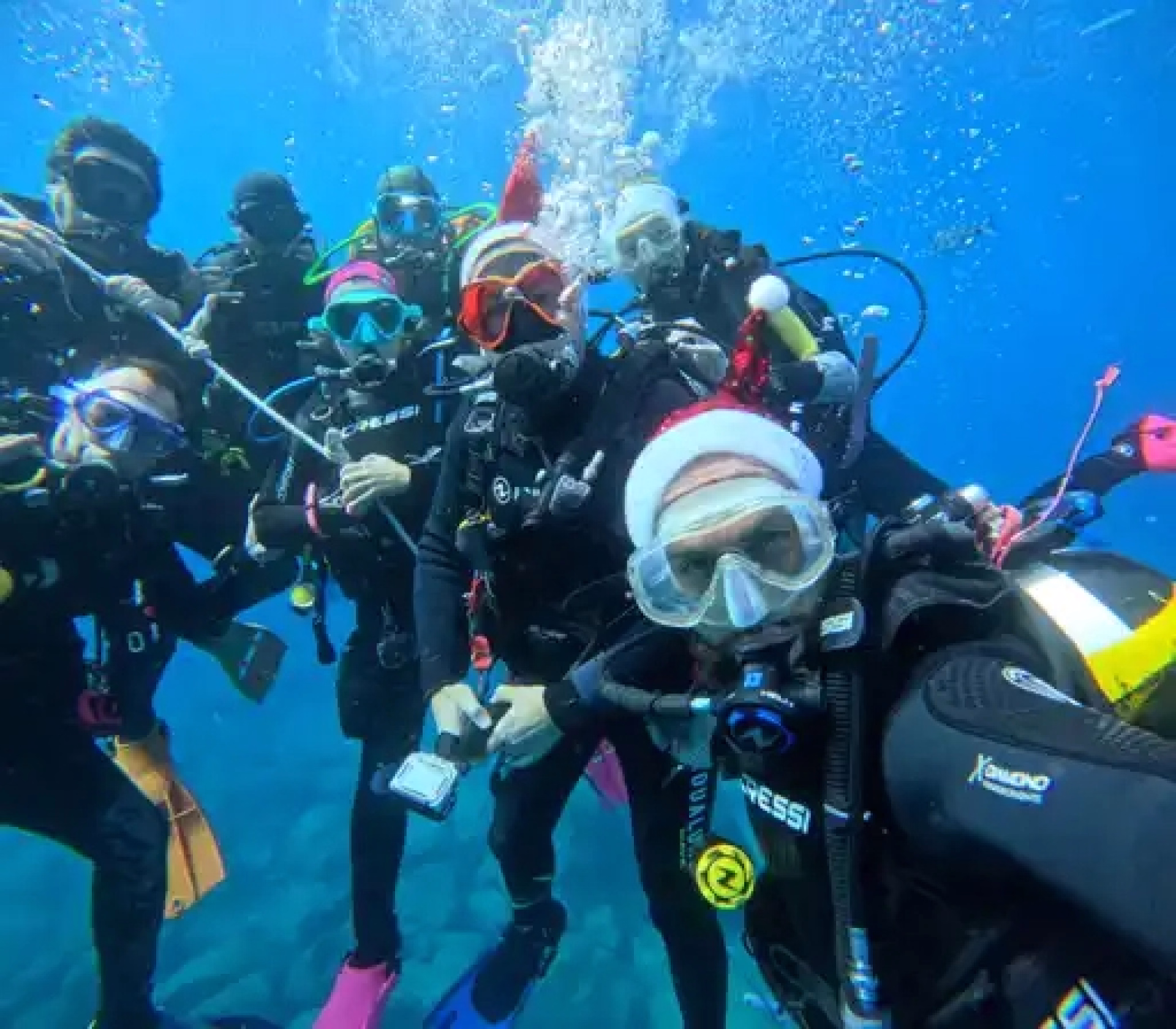 Une semaine d'exploration sous-marine à Tenerife
