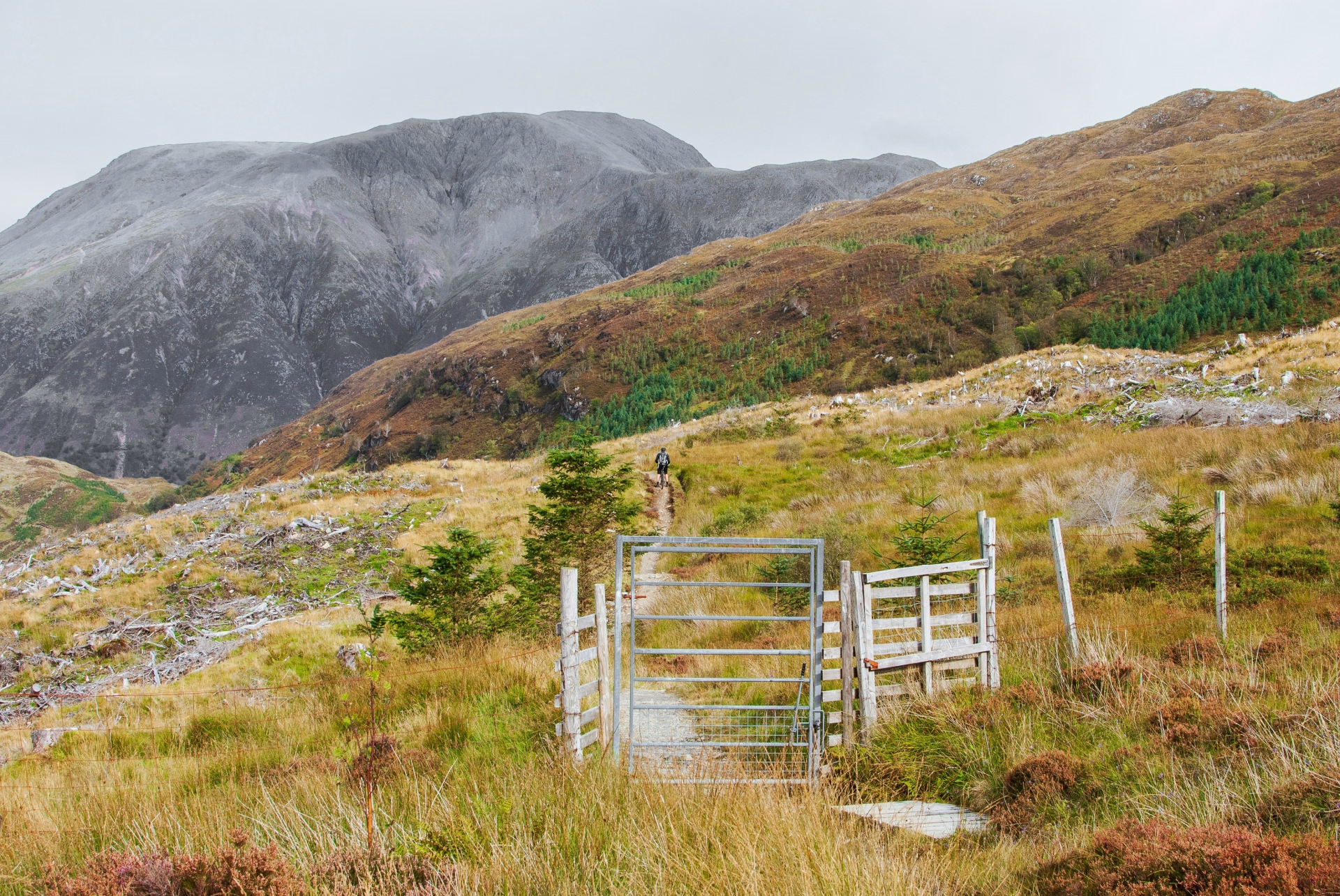 Du Loch Lomond aux montagnes de Glencoe par la West Highland Way