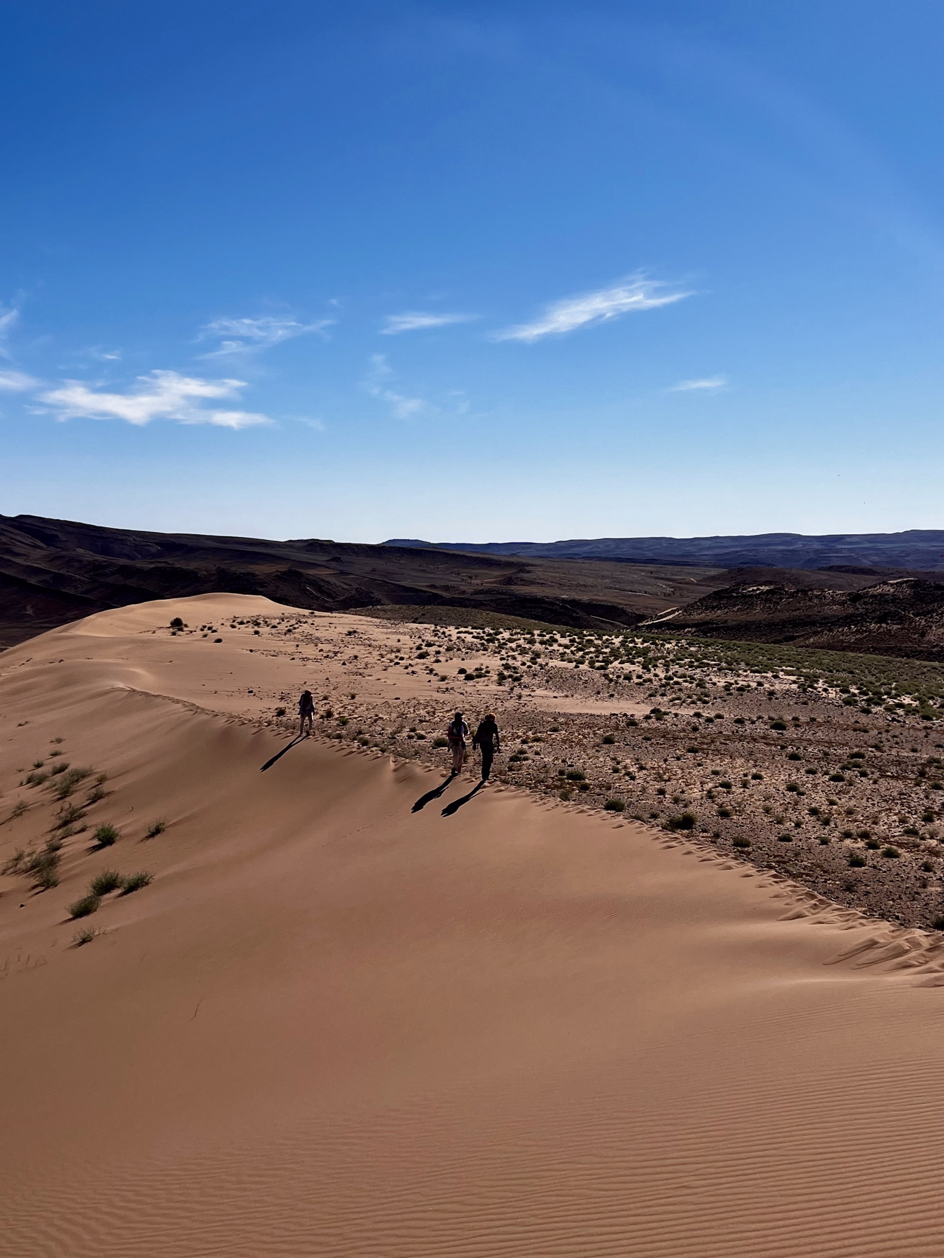 Trek entre oasis, dunes et jbel de Tazzarine