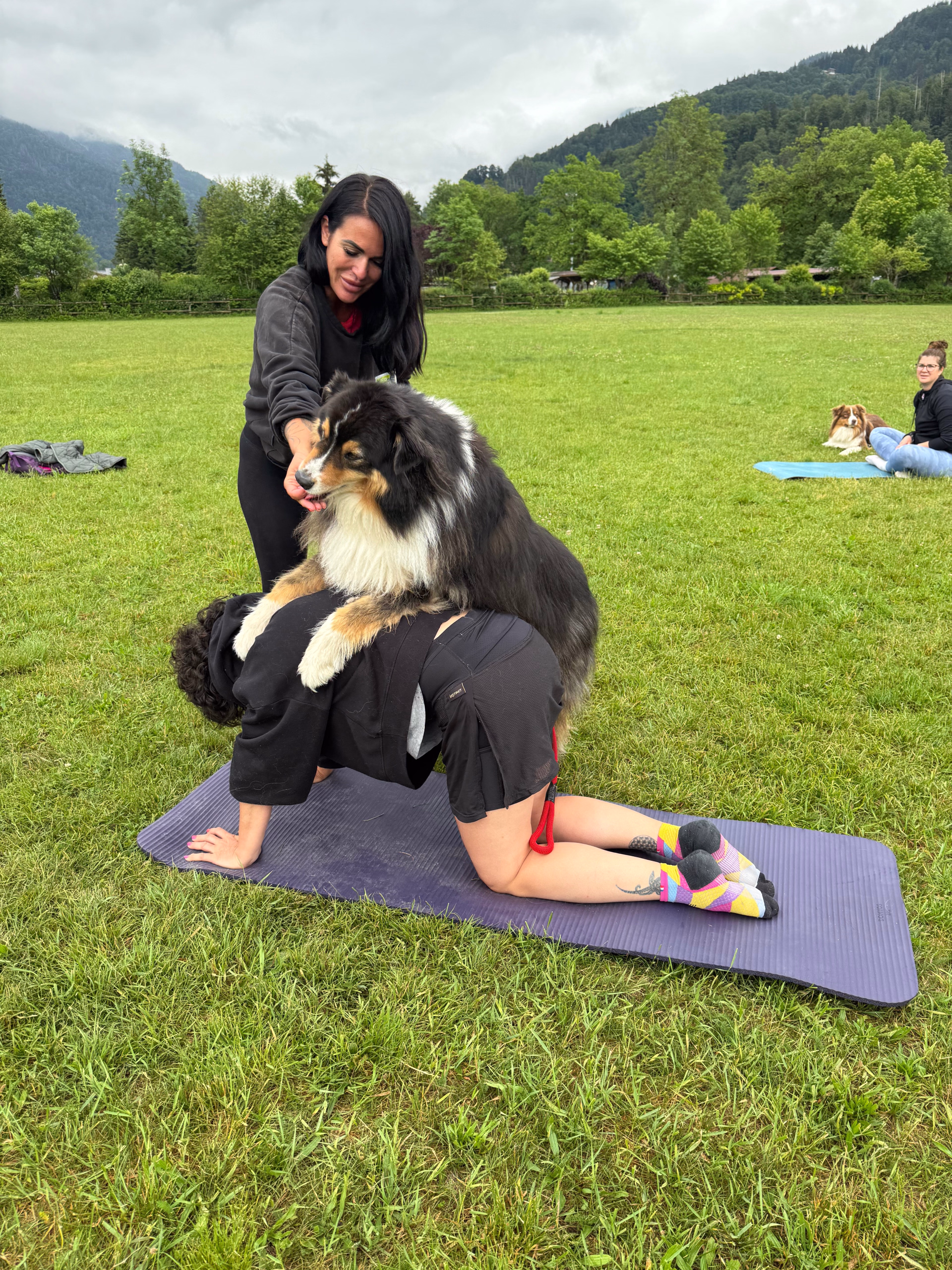 Séjour randonnée et doga en Haute-Savoie avec votre chien