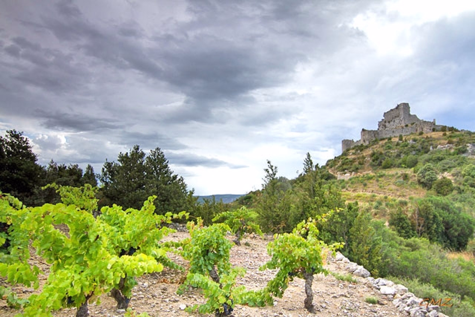Châteaux du Pays Cathare en randonnée accompagnée