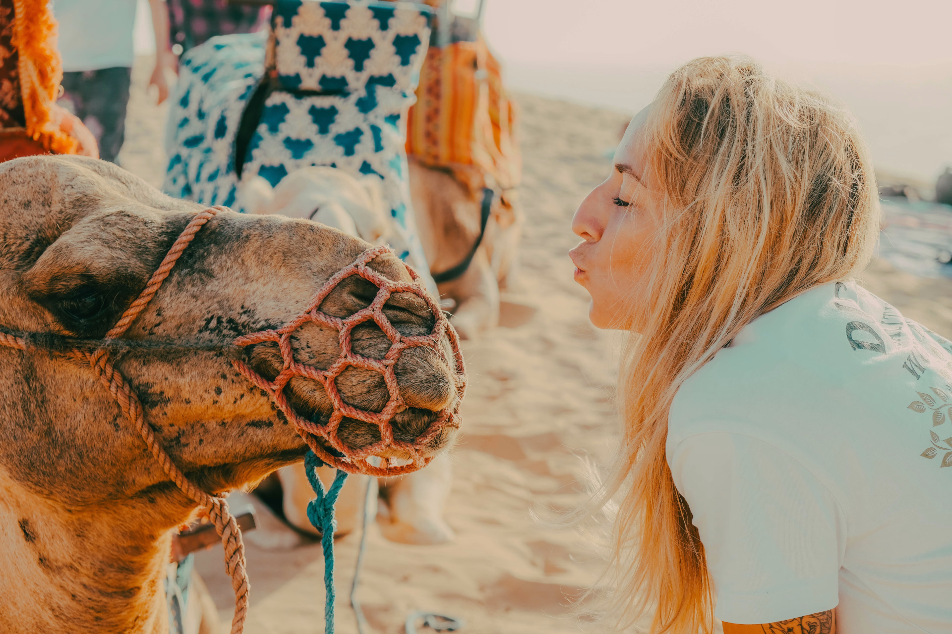 Surf Camp Imsouane en famille au Maroc