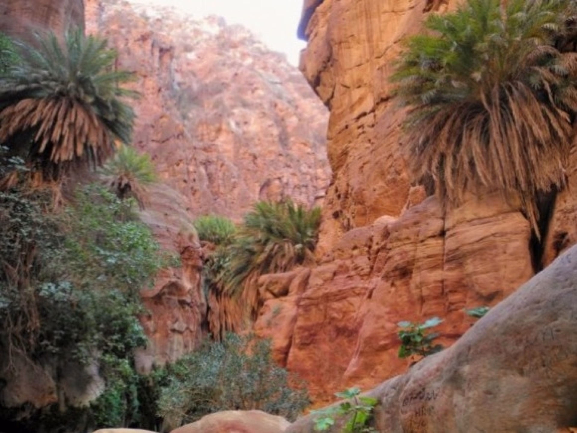 Horizons jordaniens