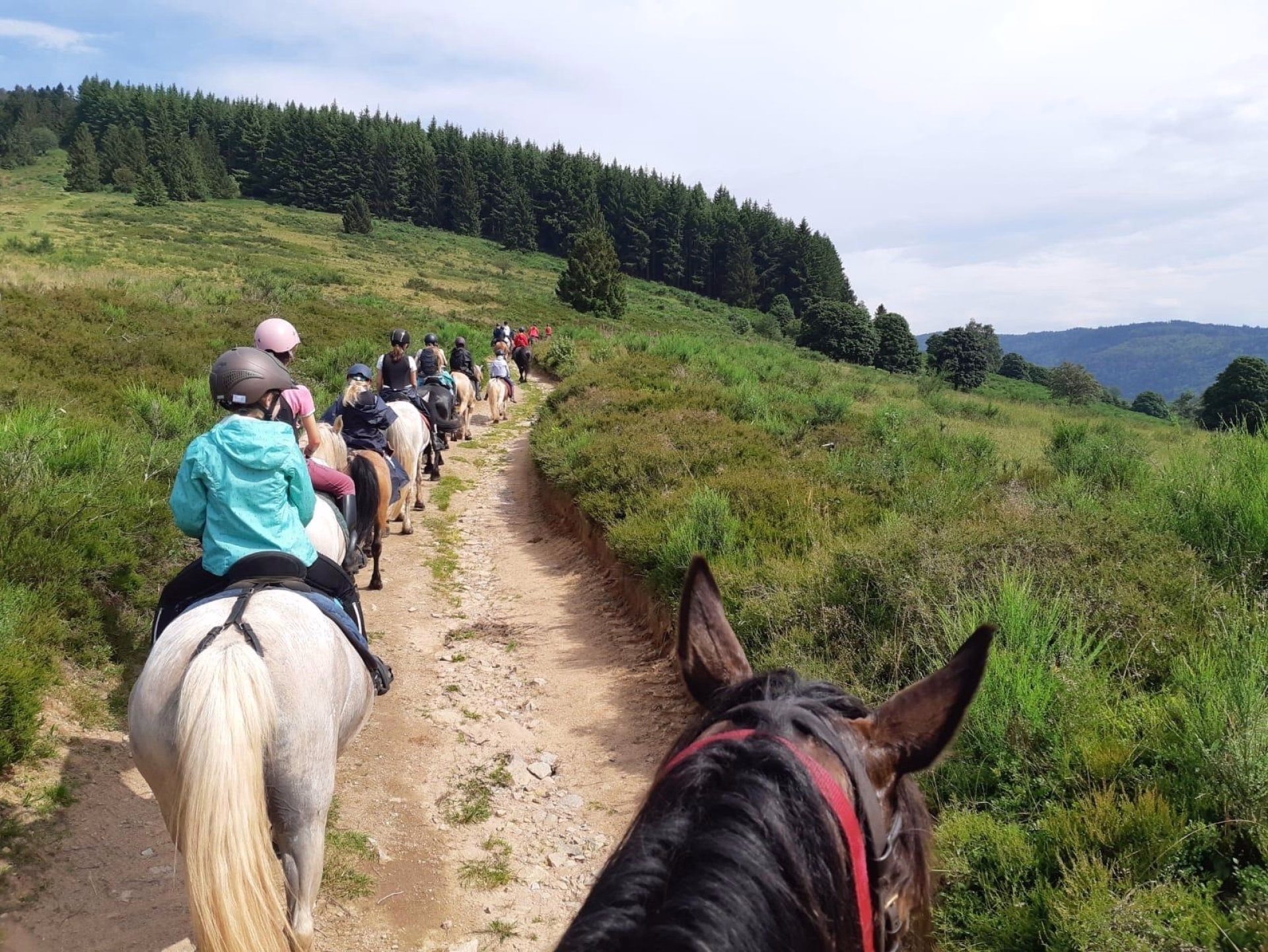 Randonnée équestre tous niveaux au cœur des Vosges