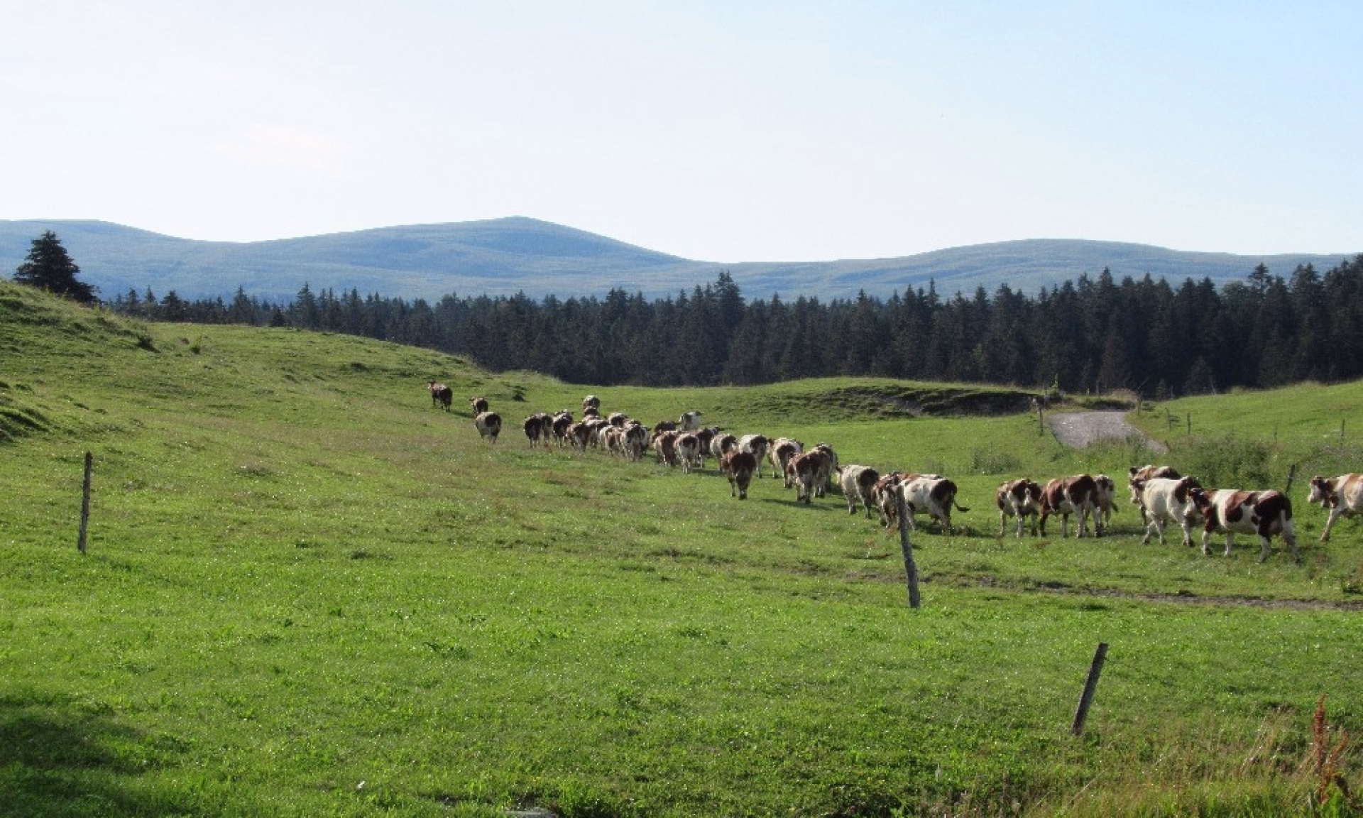Première randonnée itinérante au cœur du Haut-Jura