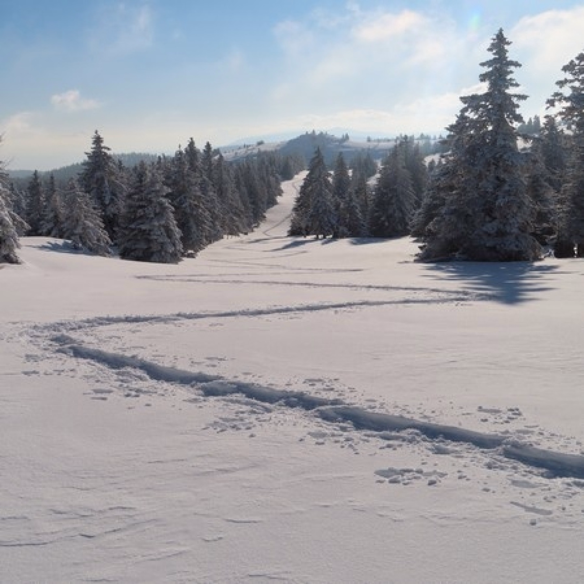 Immersion en raquettes au cœur du Jura suisse enneigé