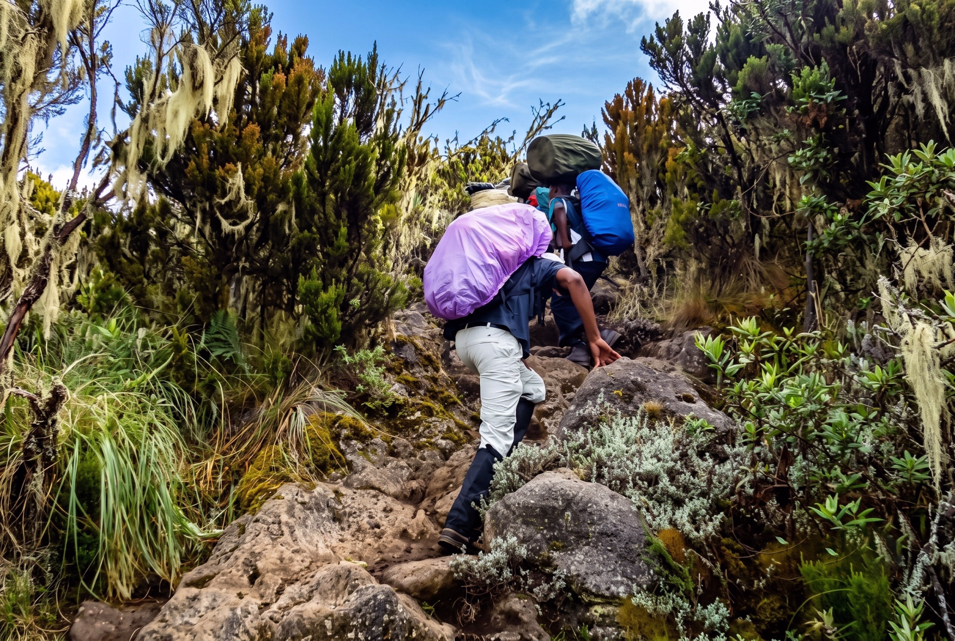 Le Kilimandjaro via la route Machame sur 7 jours