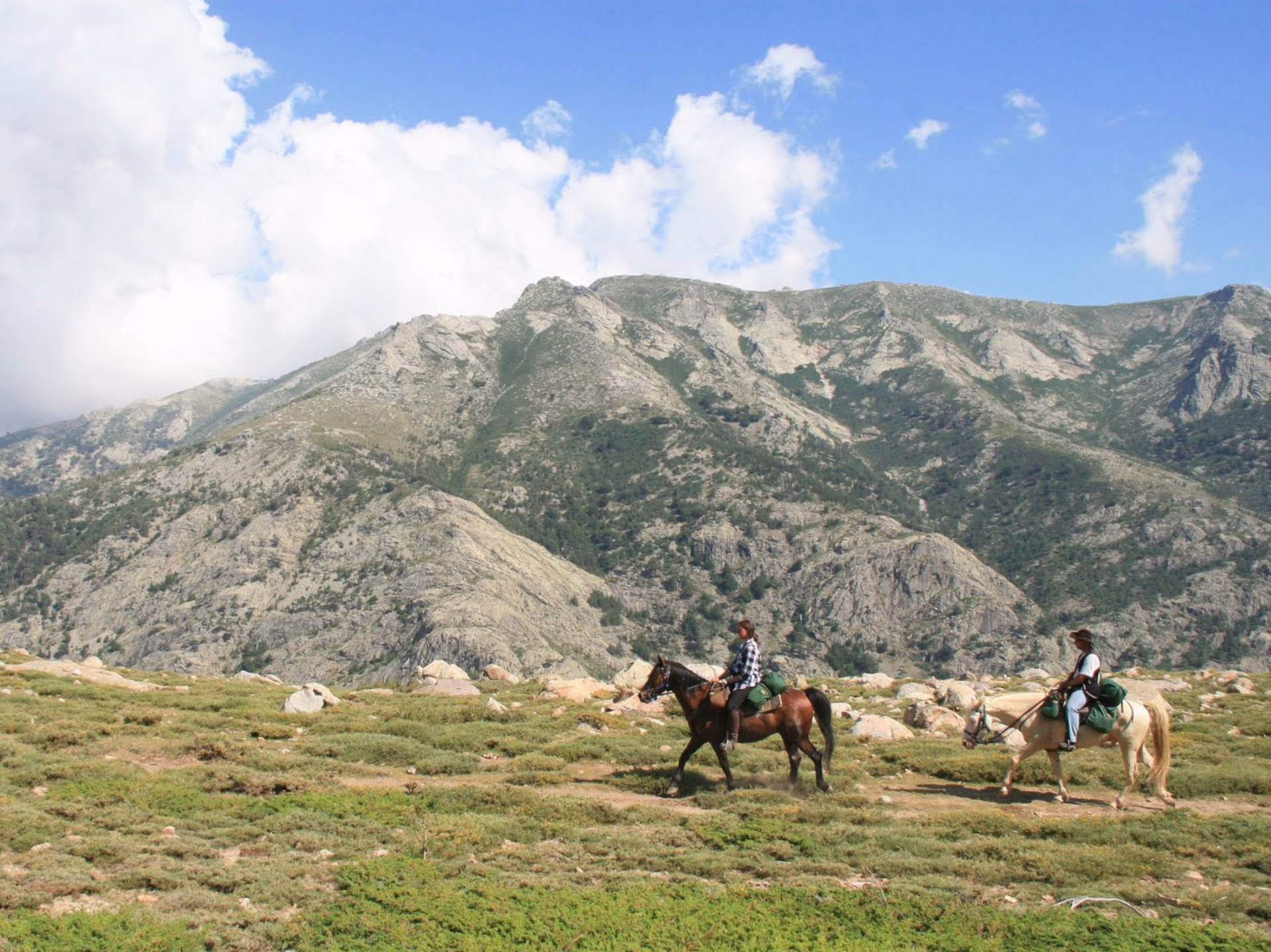 Initiation à la randonnée équestre en Corse