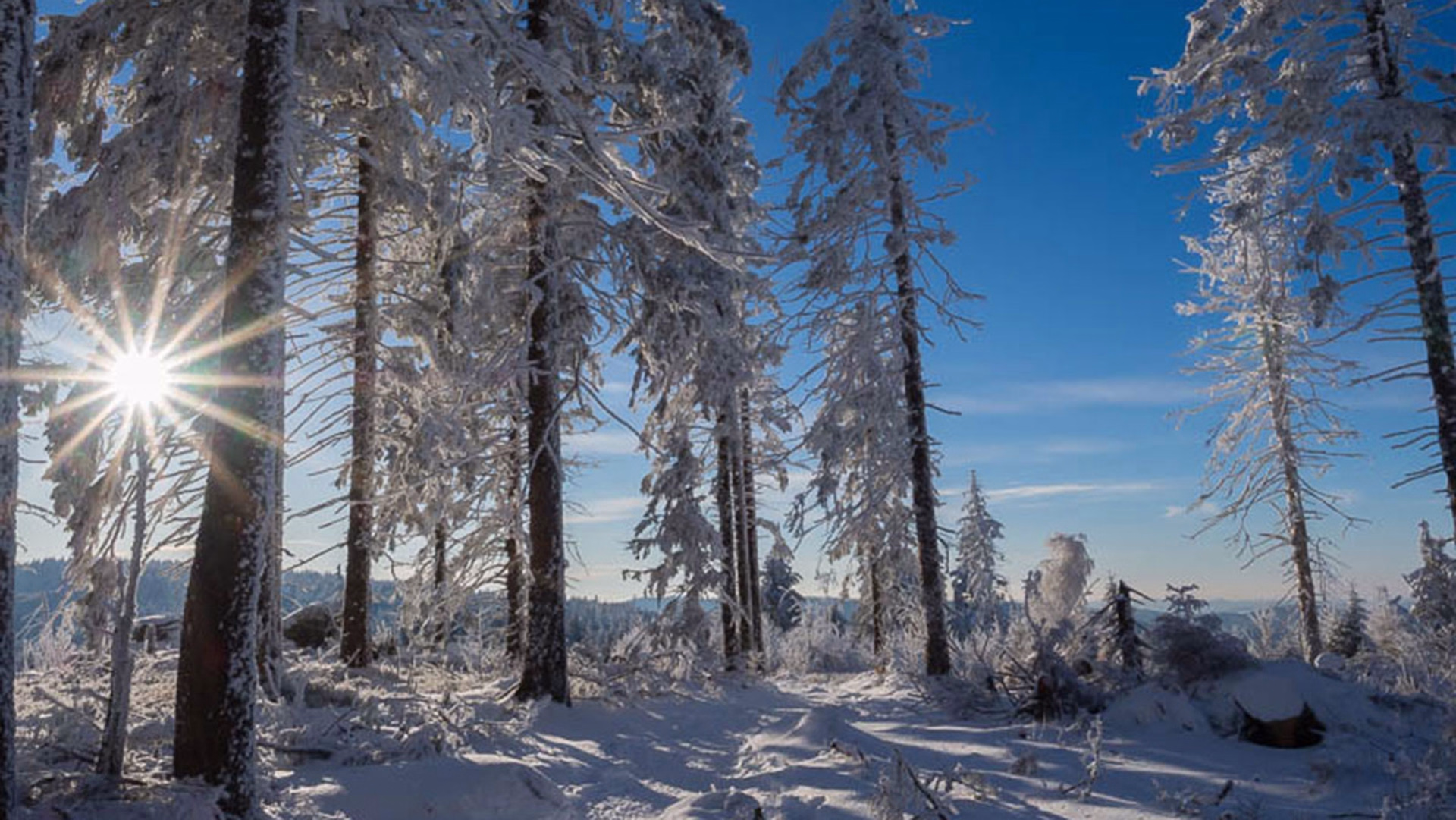 Lac Blanc : 4 jours Nouvel An dans les Vosges en raquettes accompagné