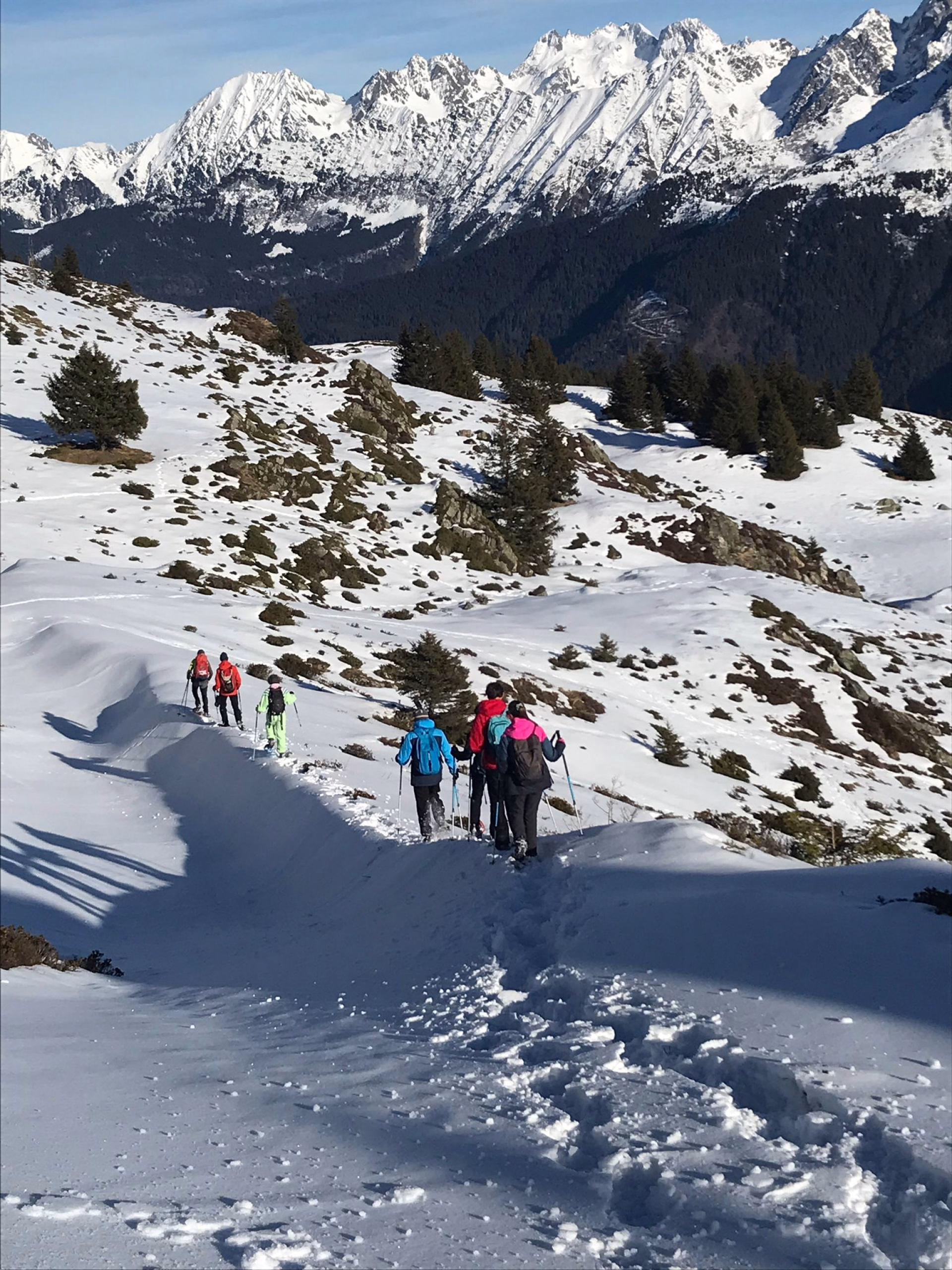 Raquettes à neige au cœur du Massif de Bellebonne, face au Mont Blanc