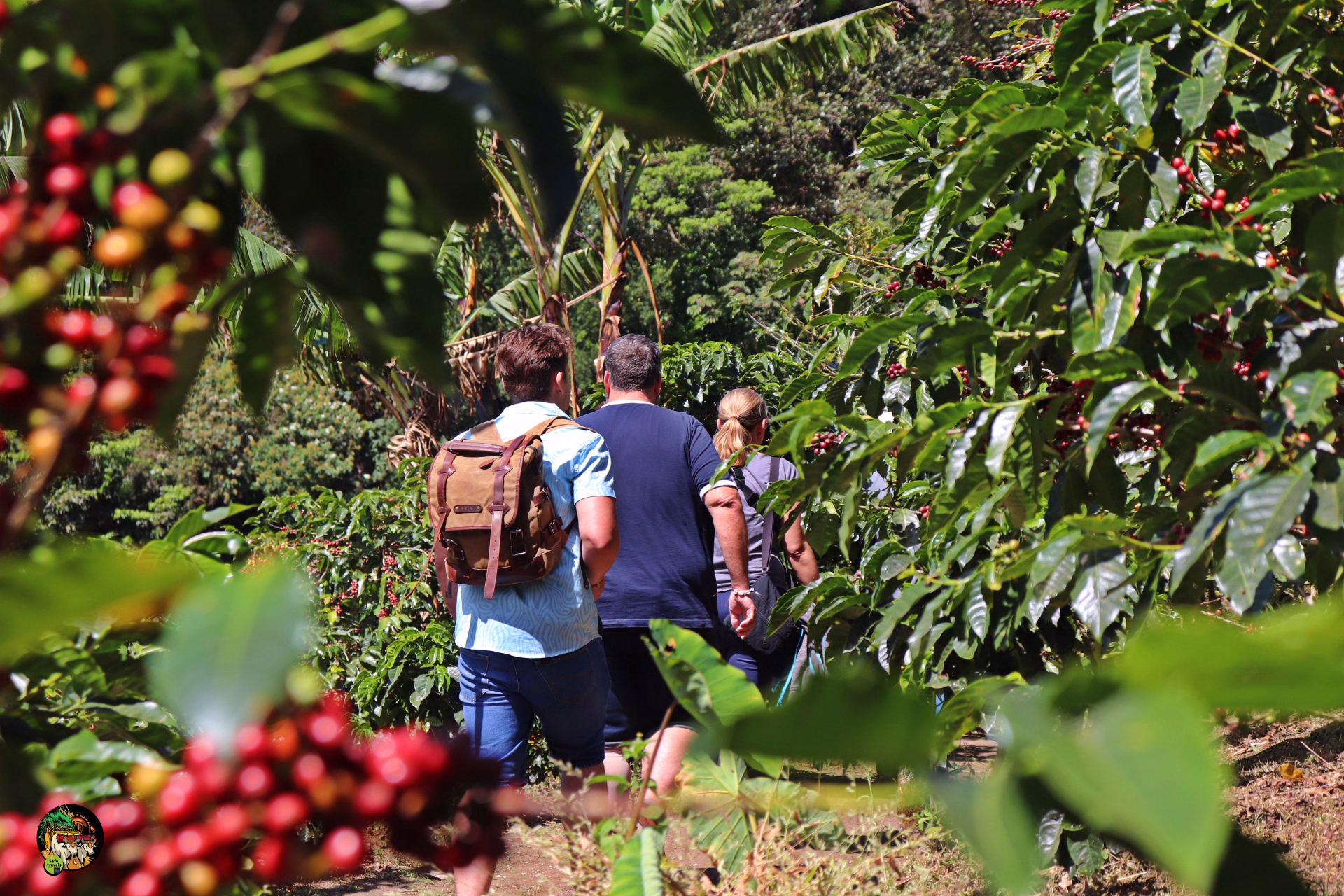 Le Costa Rica autrement : découvrez de nouveaux incontournables