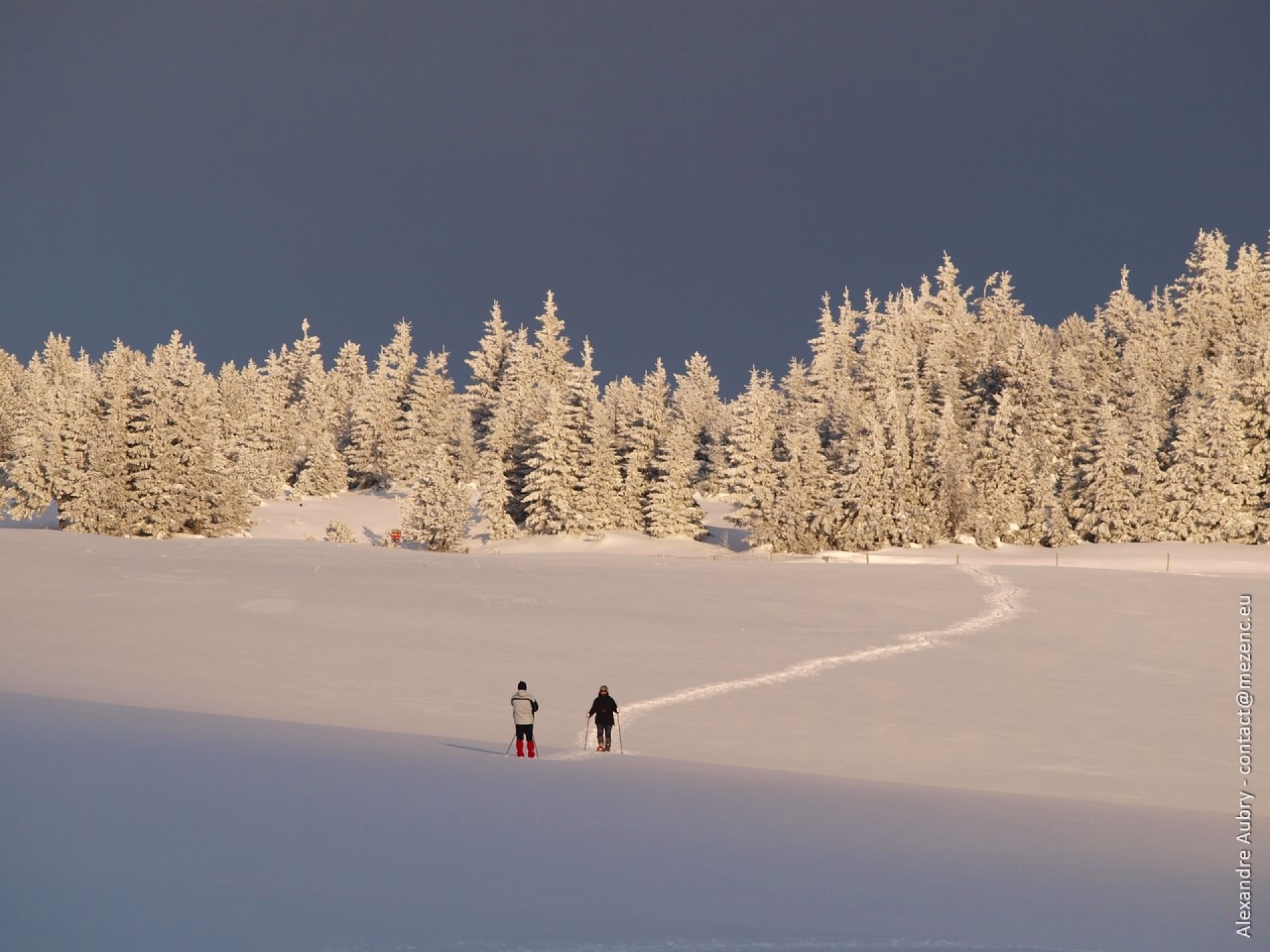 Séjour raquettes à la découverte du massif Mézenc-Gerbier