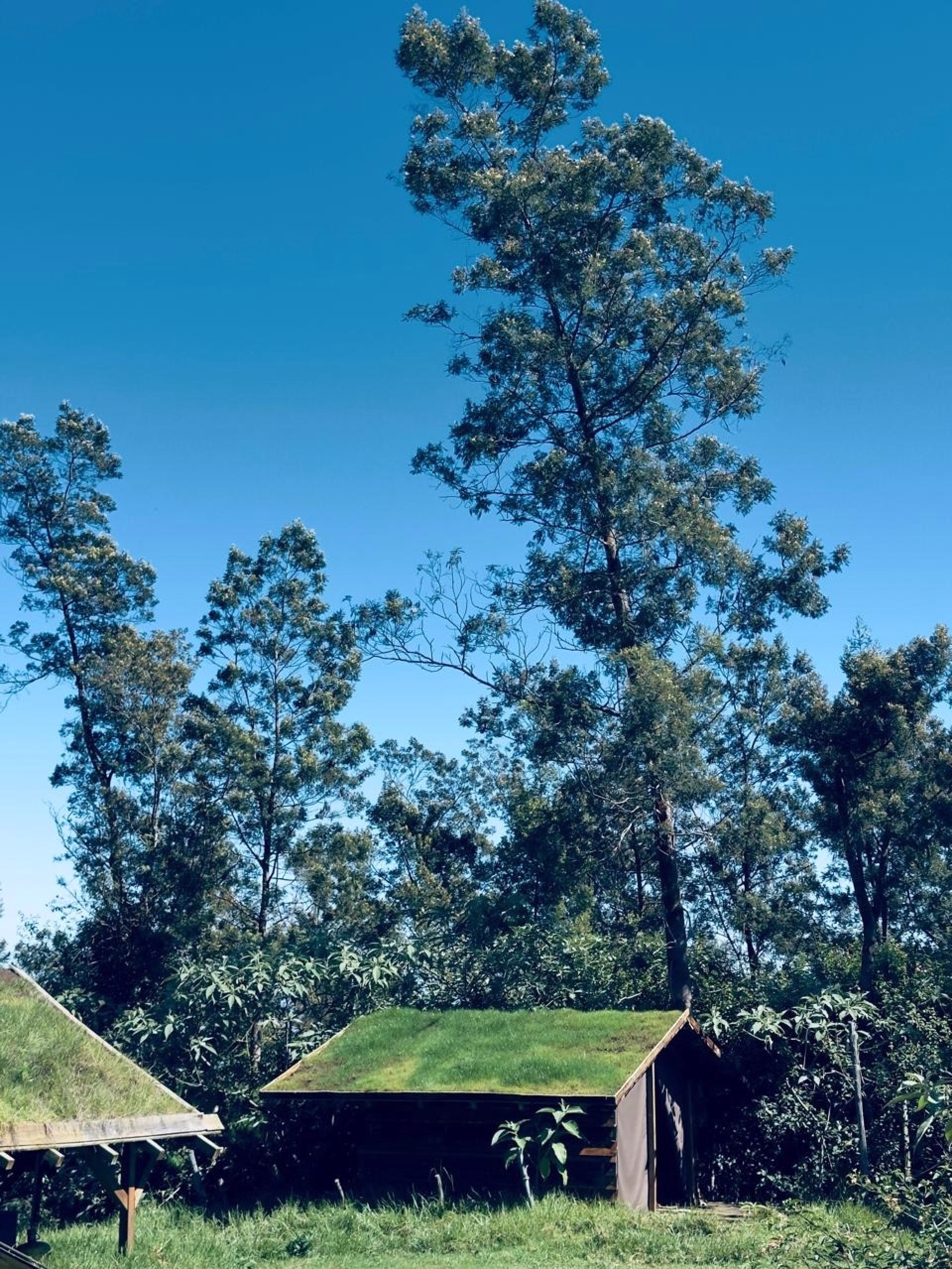 🏠 Lodge - Jours 1 à 6