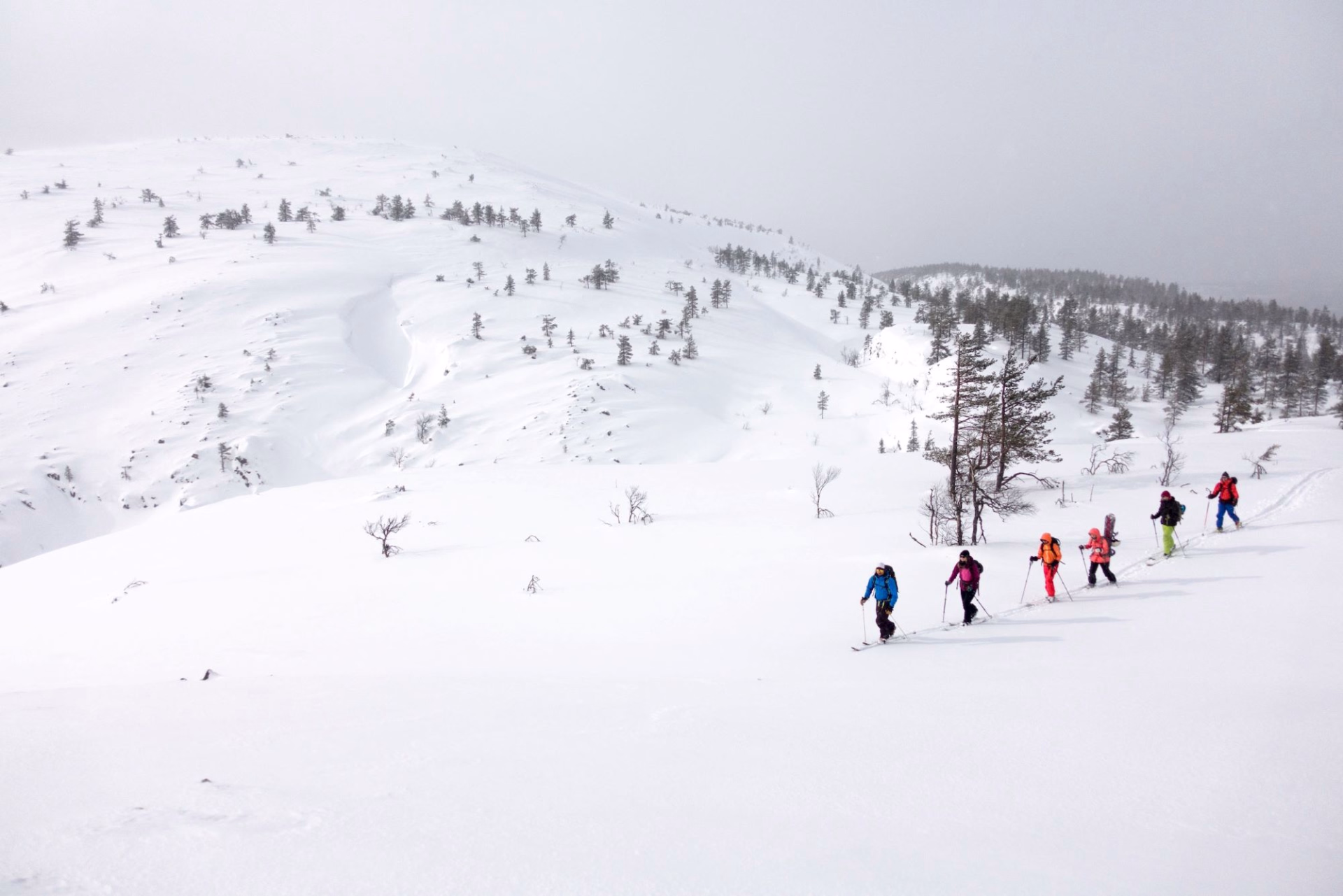 Découvrez nos séjours de randonnée nordique dans le Jura