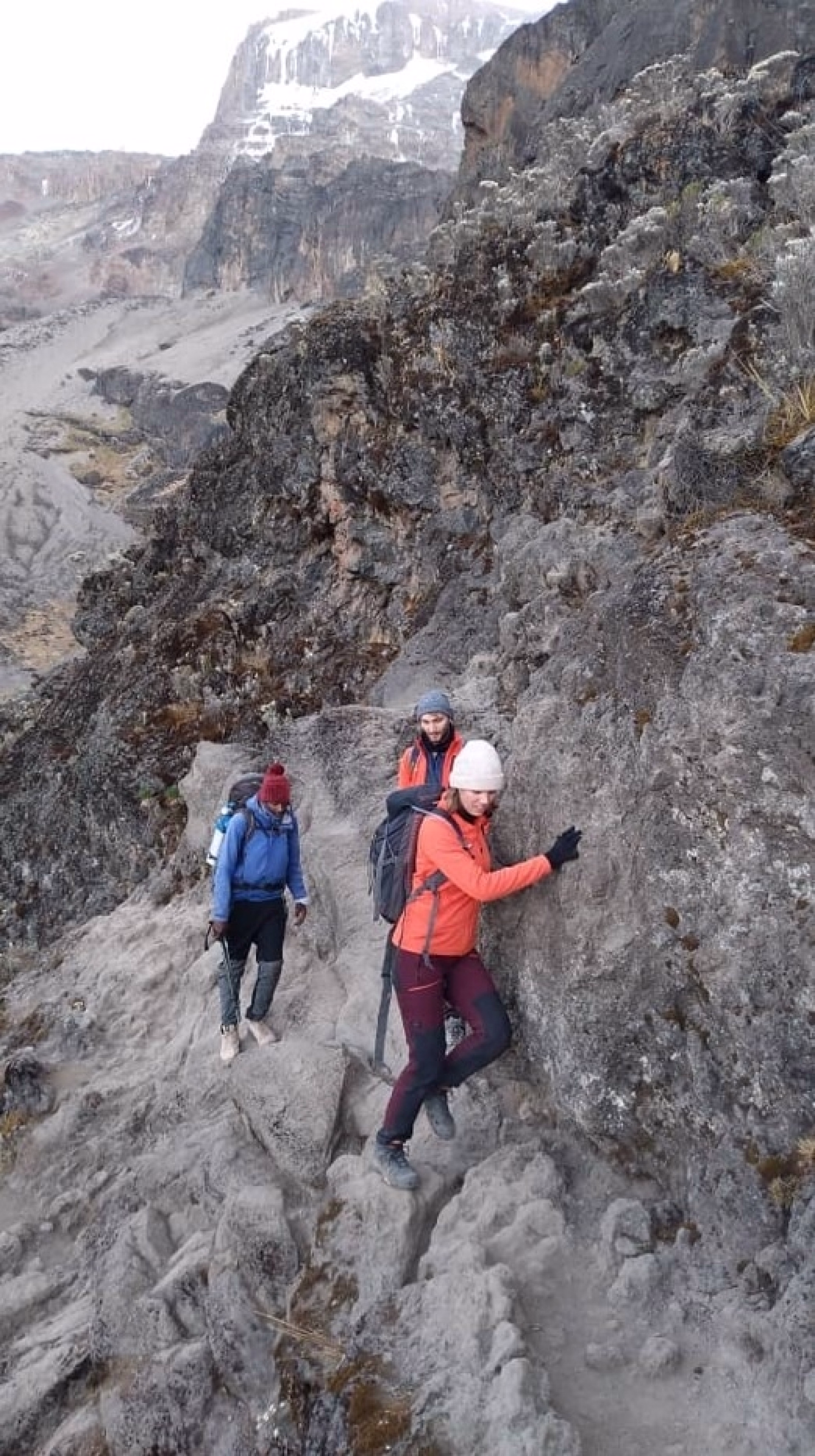 Le Kilimandjaro via la route Lemosho sur 8 jours
