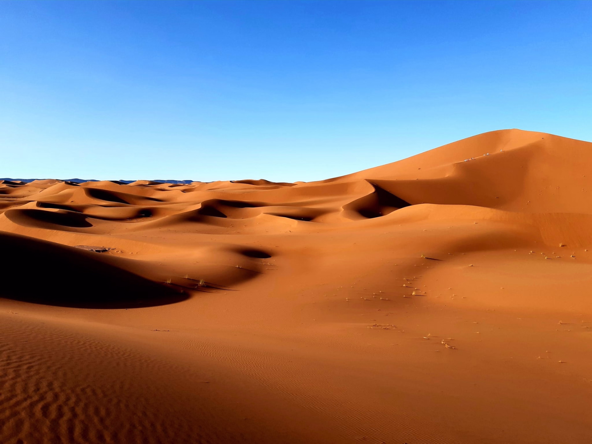 Trek, yoga, bien-être et déconnexion dans le désert du Sahara