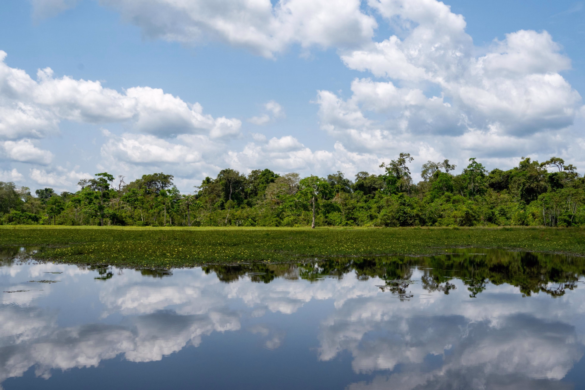 Expédition au coeur de la grande forêt du Congo