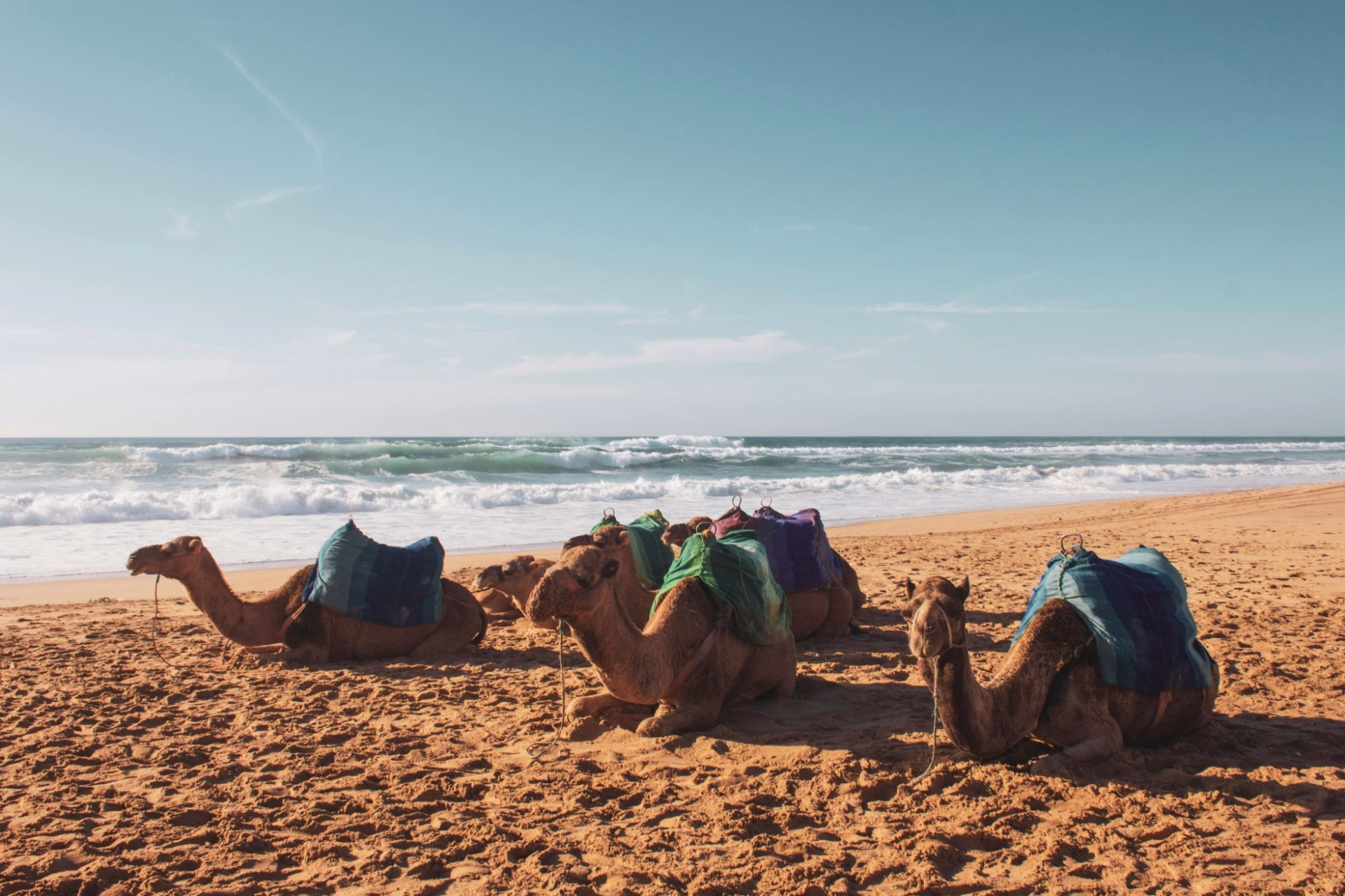 Surf et villa avec piscine à Essaouira