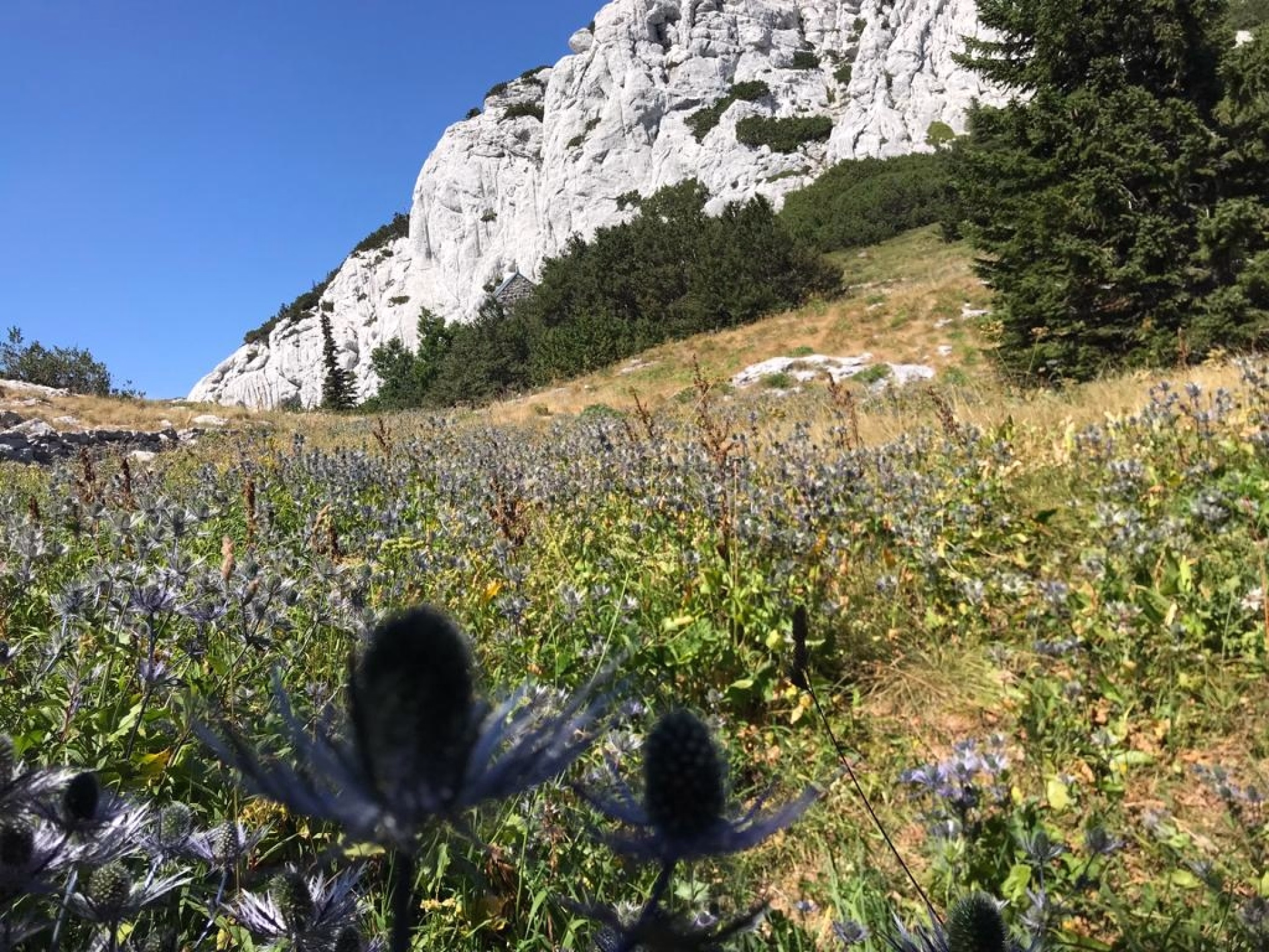 Aventure de randonnée en autonomie de refuge en refuge en Croatie