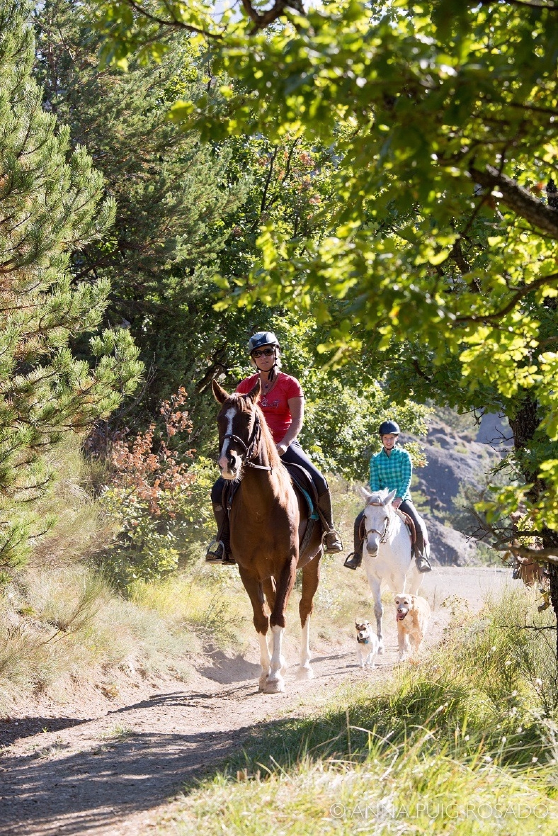 Les Baronnies provençales à cheval