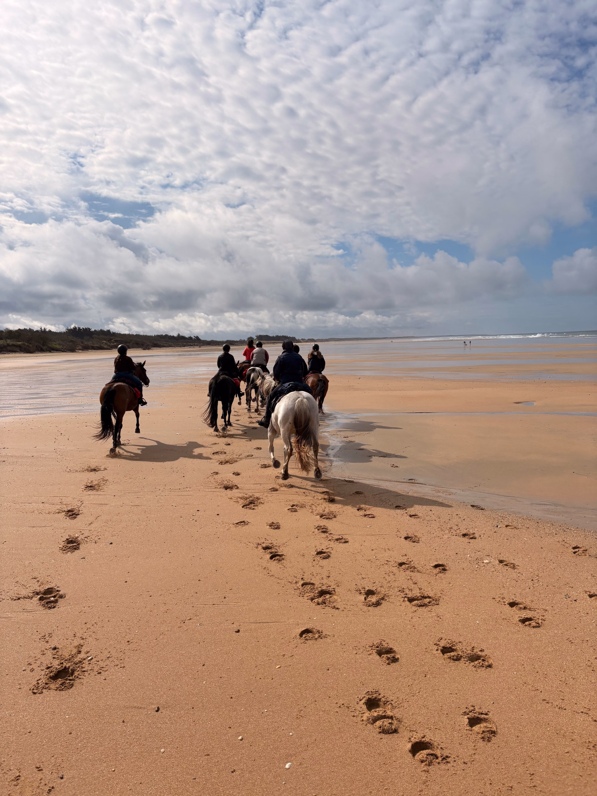Randonnée Équestre Océan & Forêt de la Côte Atlantique