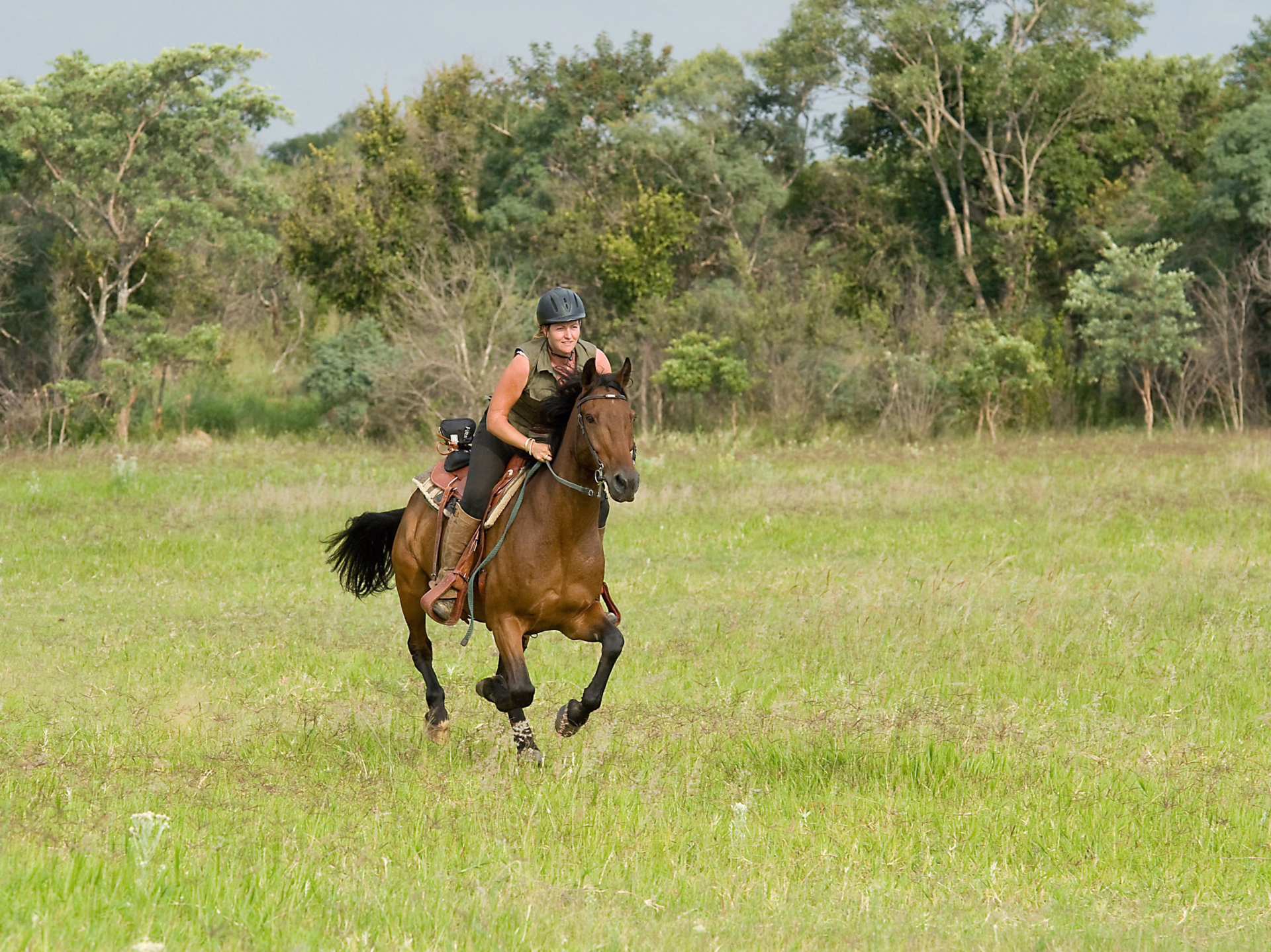 Safari à cheval, de l'Afrique du Sud au Botswana