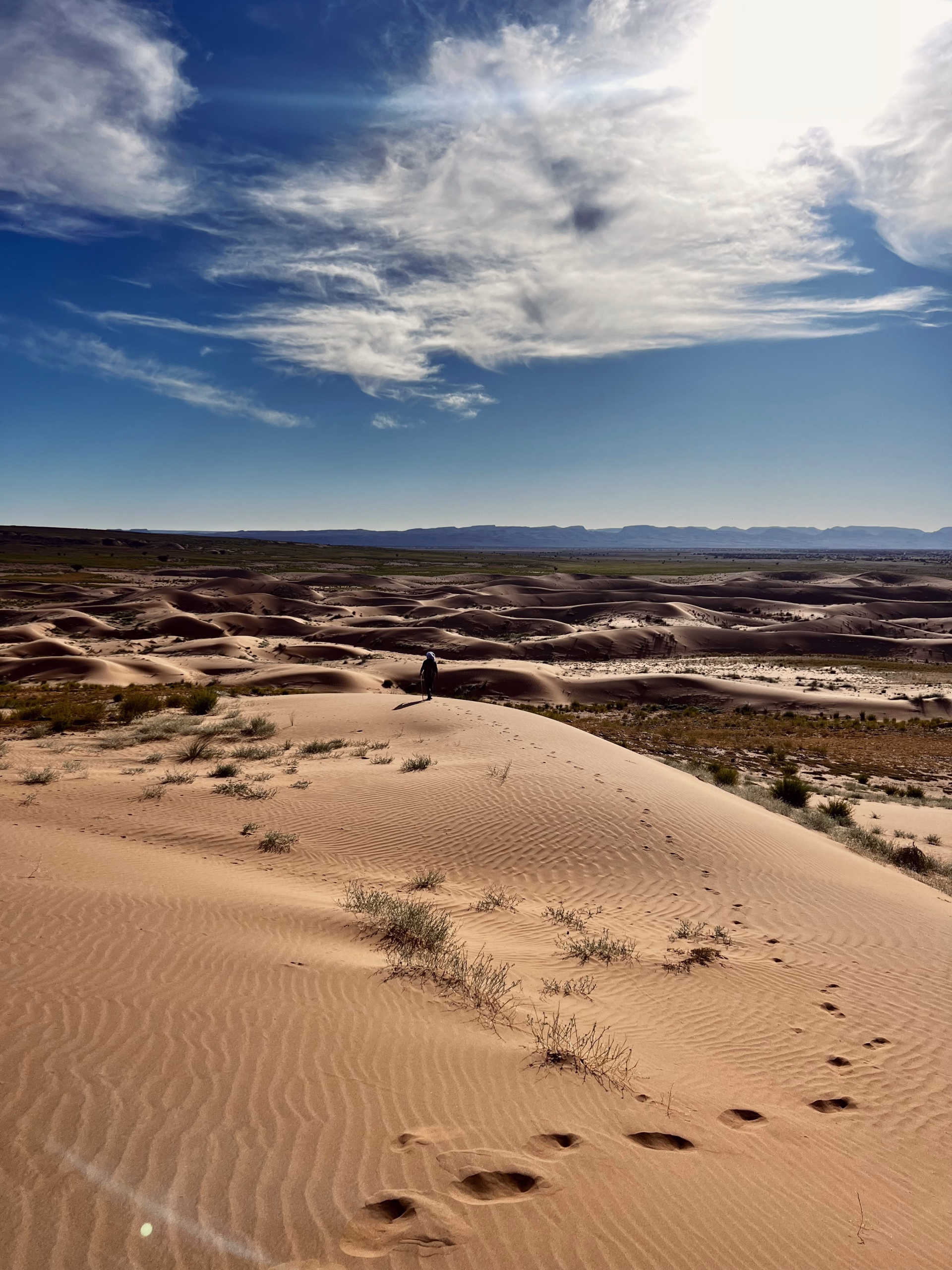Trek entre oasis, dunes et jbel de Tazzarine