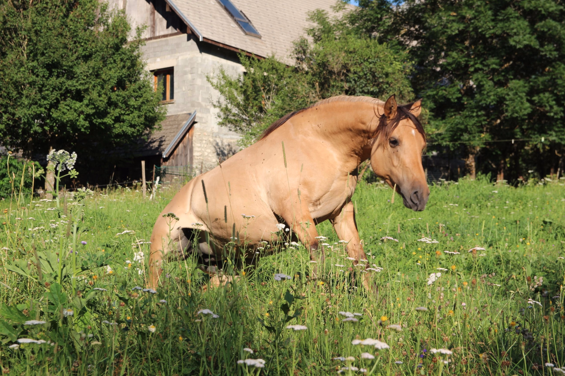 ⛺️ Bivouac/tente - Jour 1