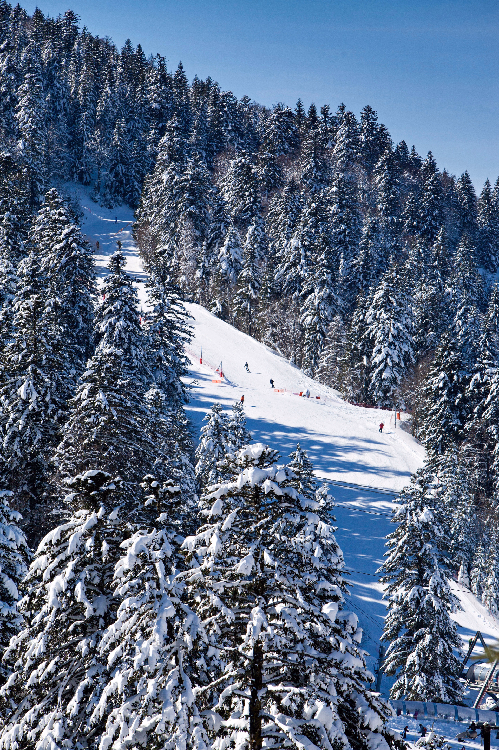 Randonnées hivernales au cœur du Cantal