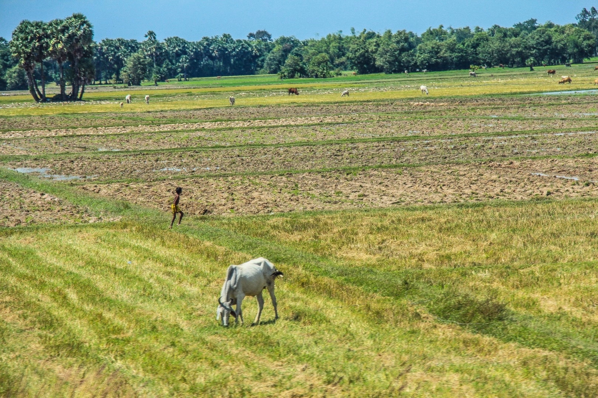 Le Cambodge à vélo