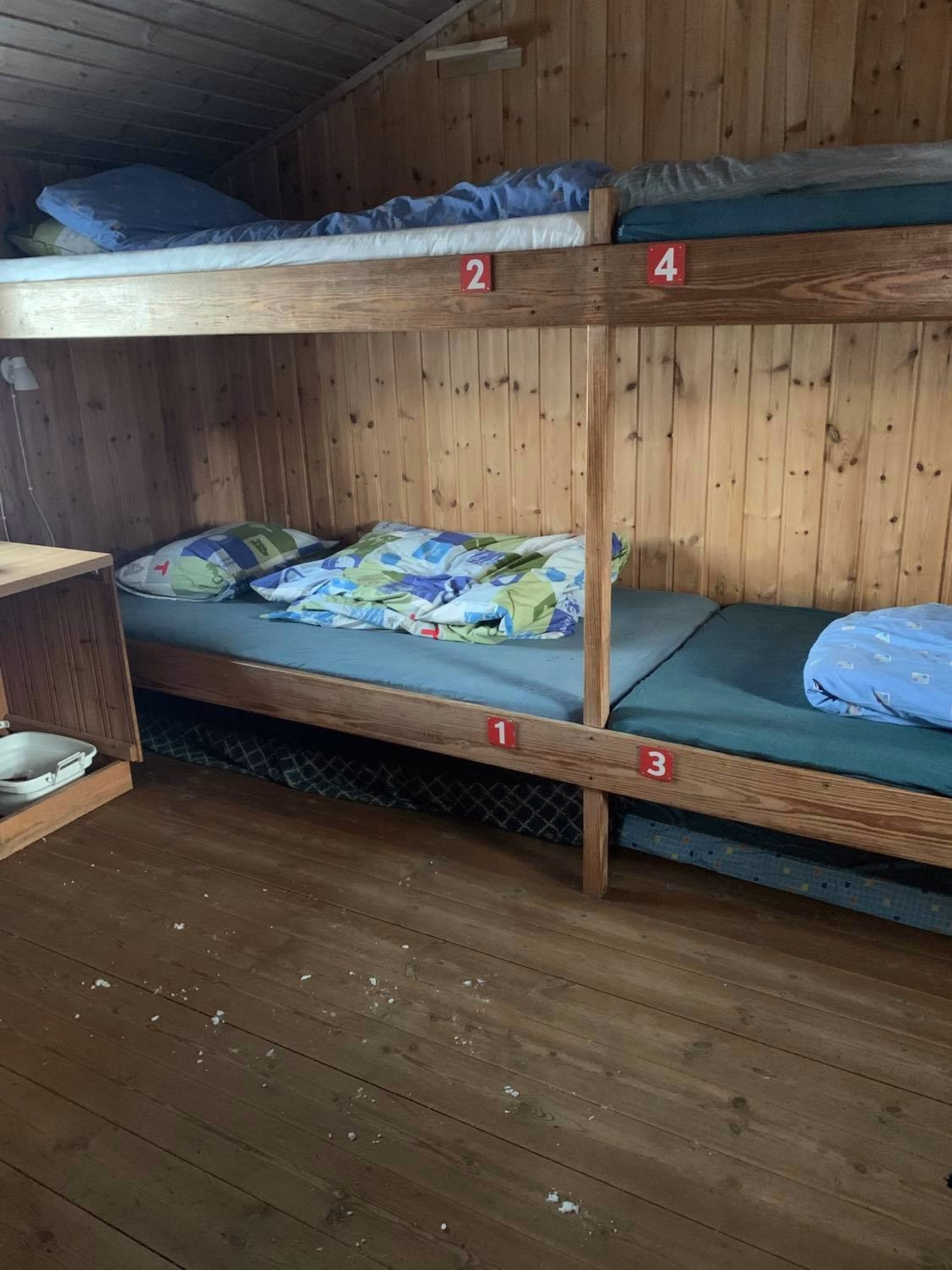 🏠 Cabane - Jour 4