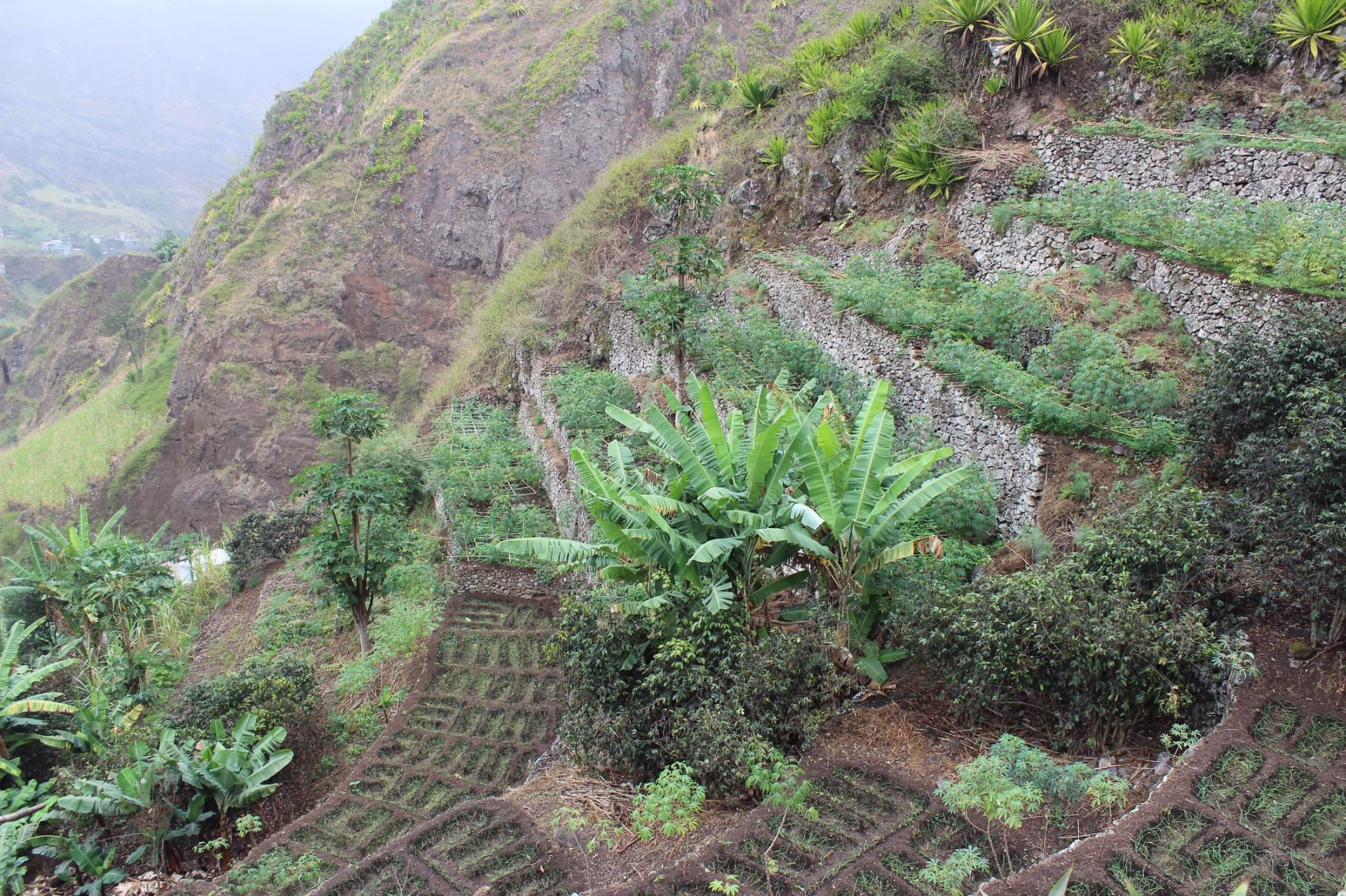 Entre nature et authenticité : le Cap Vert autrement