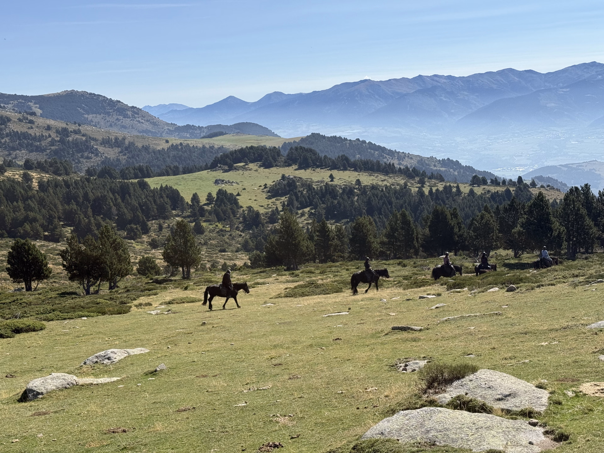 Brame du cerf en Pyrénées catalanes à cheval