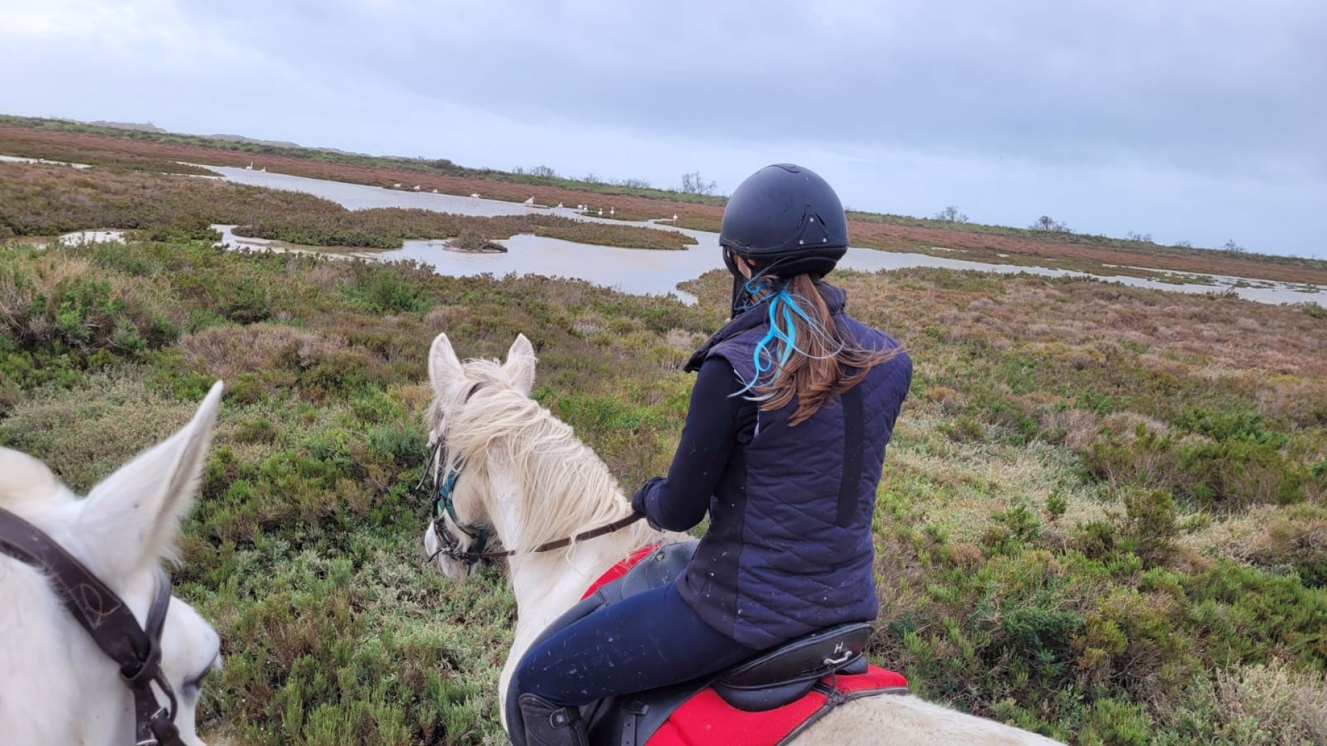 Séjour à cheval en Camargue entre nature et grands espaces