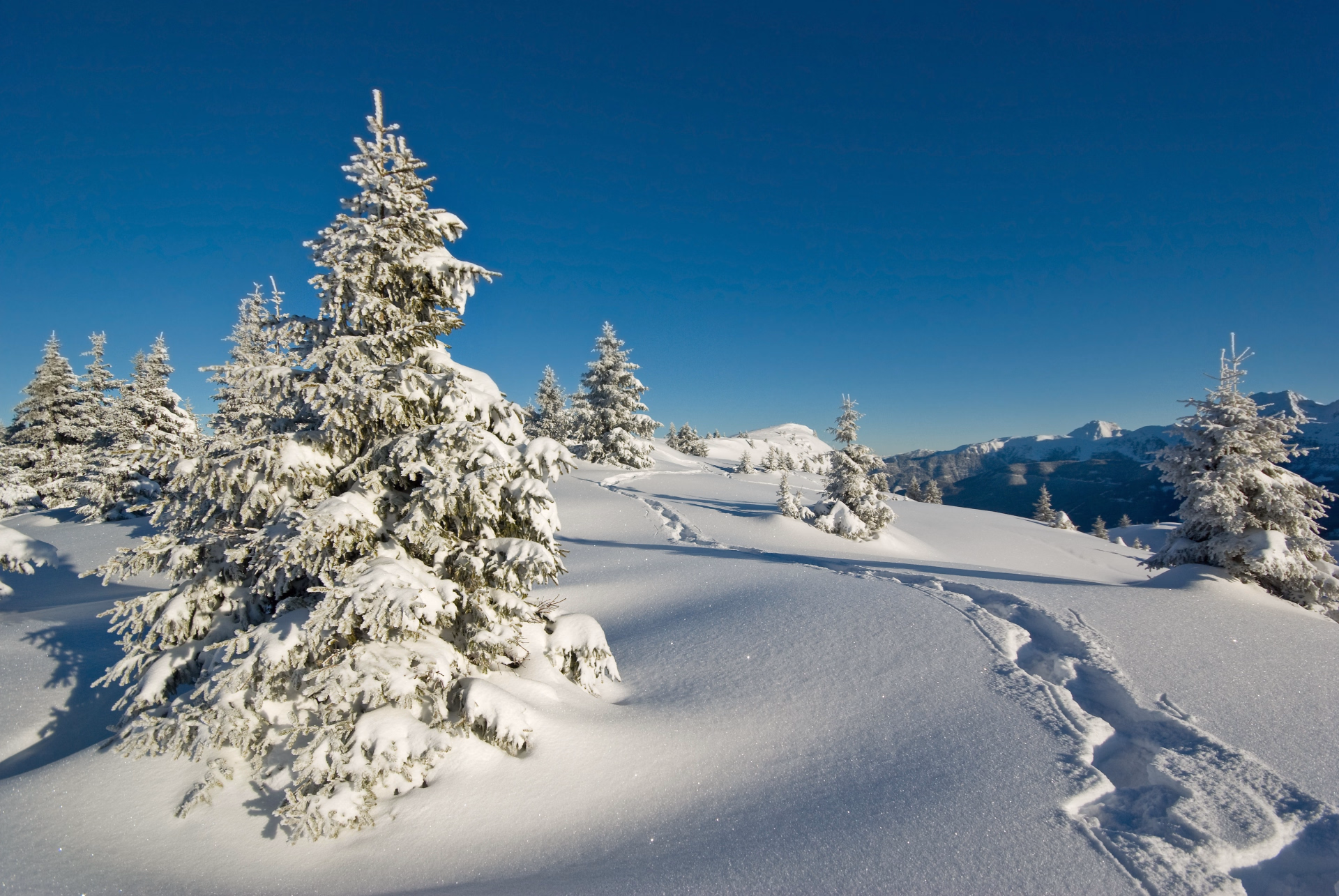 Première neige en raquettes dans le massif de Belledonne