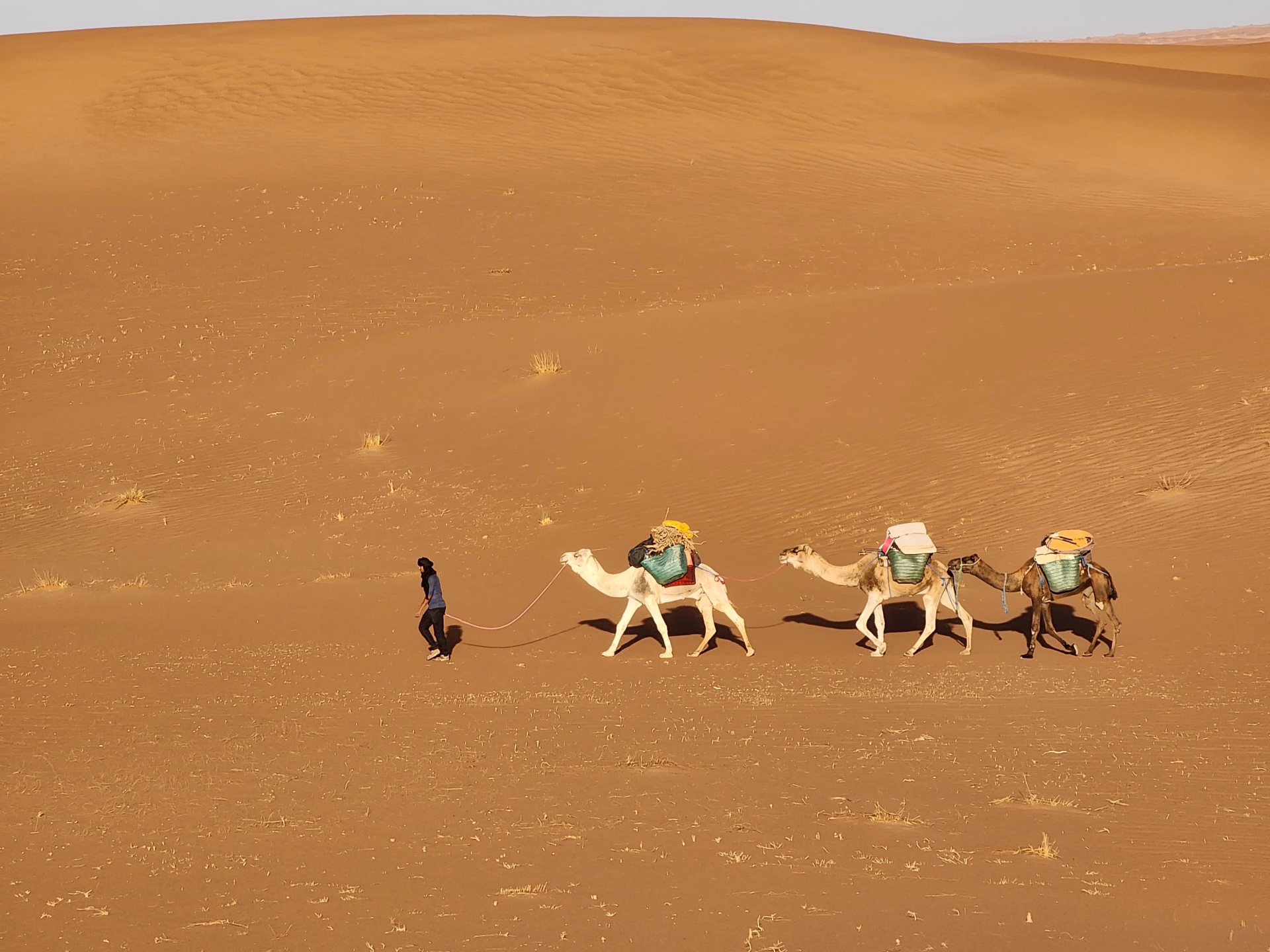 Trek de 3 jours dans le désert : sur la route des anciennes caravanes
