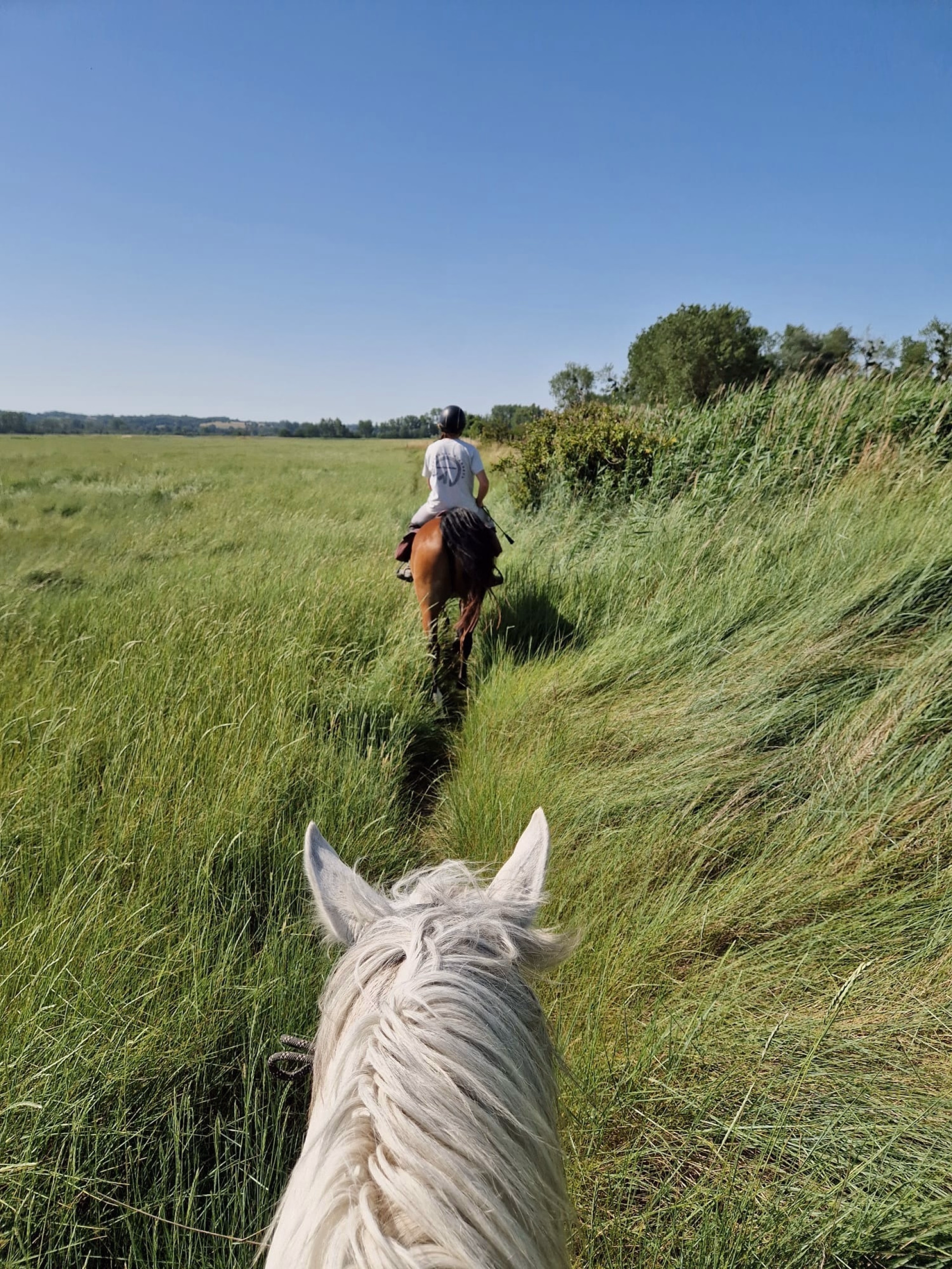 Randonnée à cheval sur les plages de Normandie