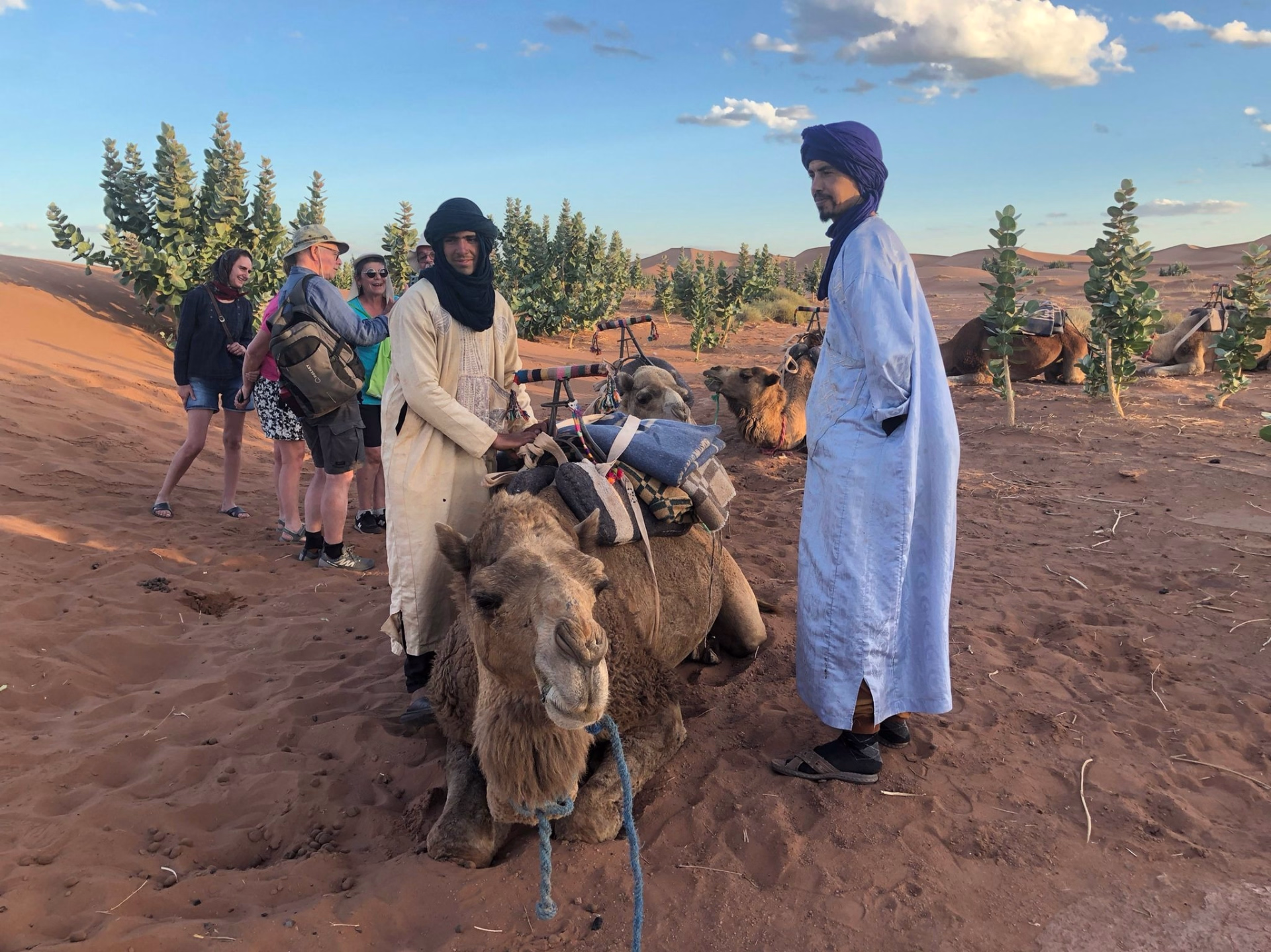 Escapade 4 jours dans le Sud marocain – Désert, dromadaire et 4x4