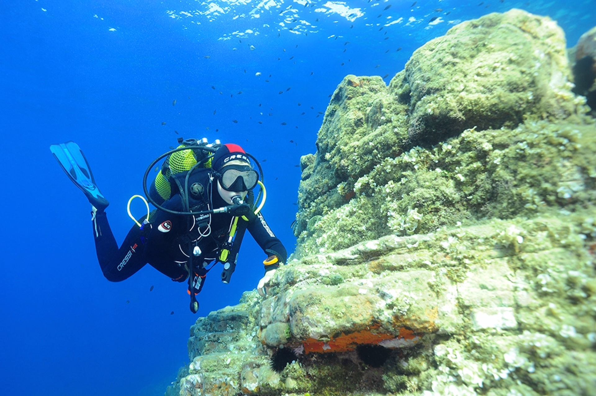 Formation plongée Niveau 1 dans le massif de l'Estérel