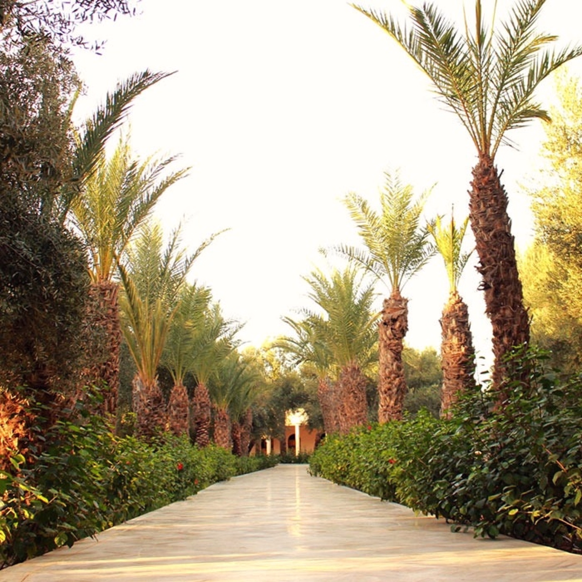 🏠 Riad - Jours 3 à 4