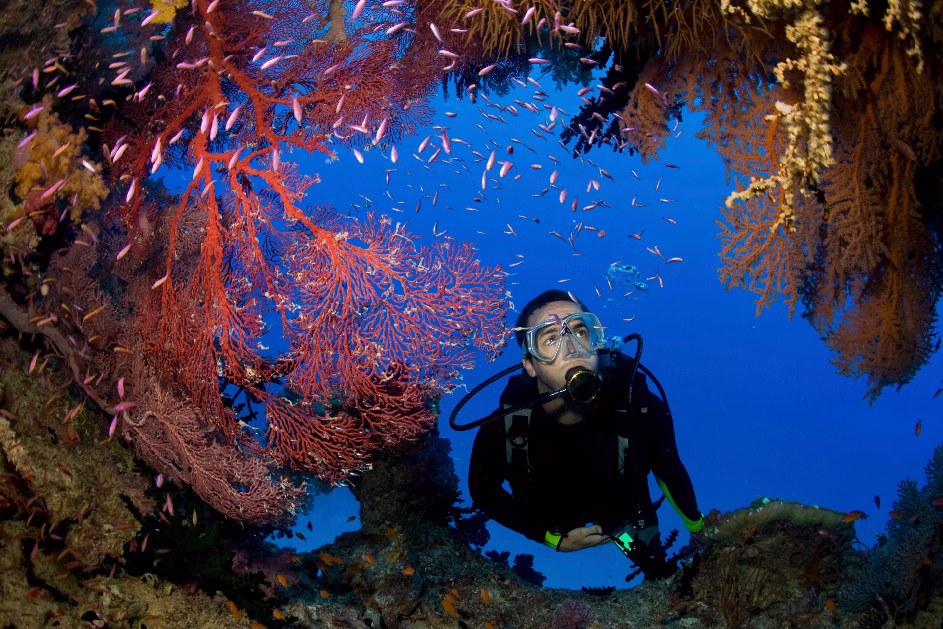 Voyageur solo : Safari plongée & circuit terrestre à Bali - 12 nuits