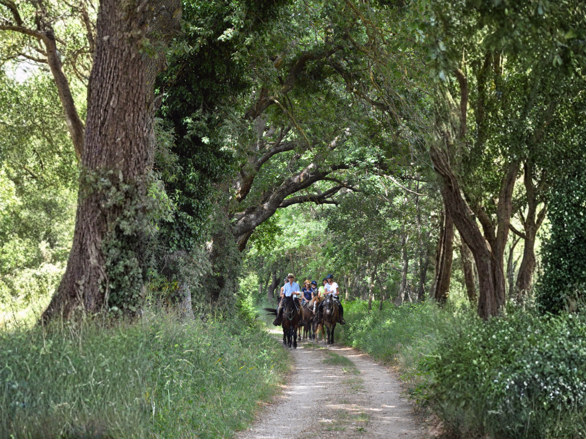 Randonnée à cheval en Toscane