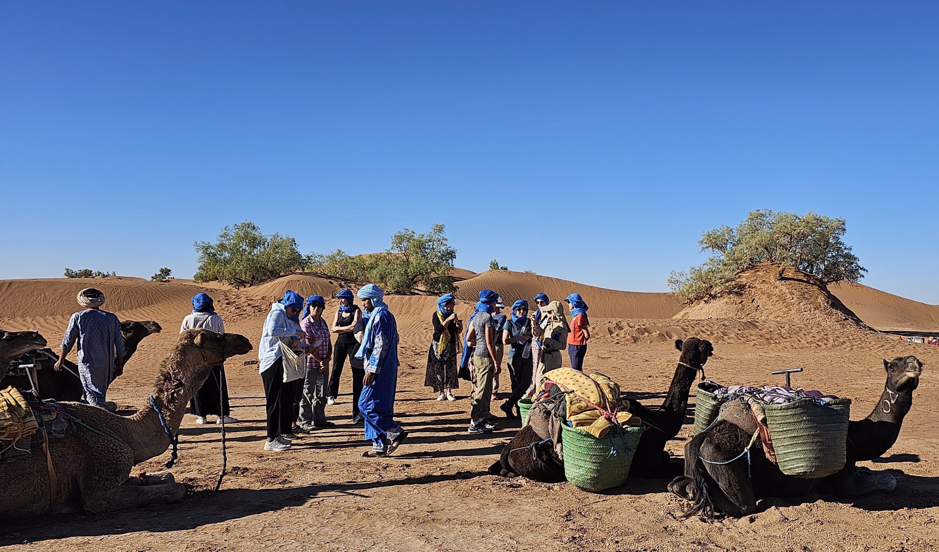 Séjour de 7 jours au départ de Marrakech : désert du Maroc et vallée