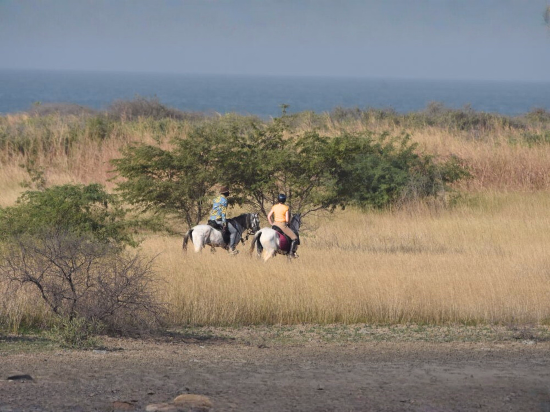 Safari à cheval dans le Sine Saloum au Sénégal