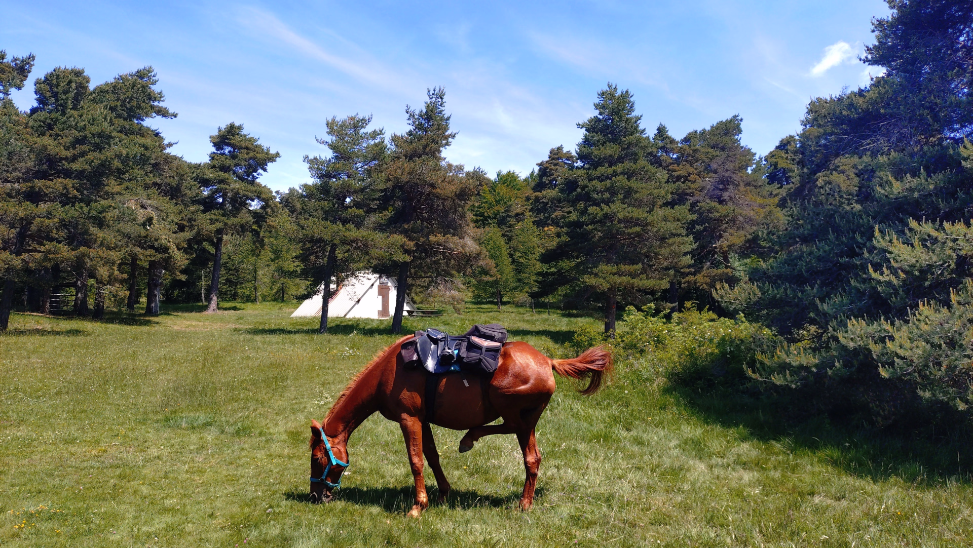 Tour des Monges à cheval