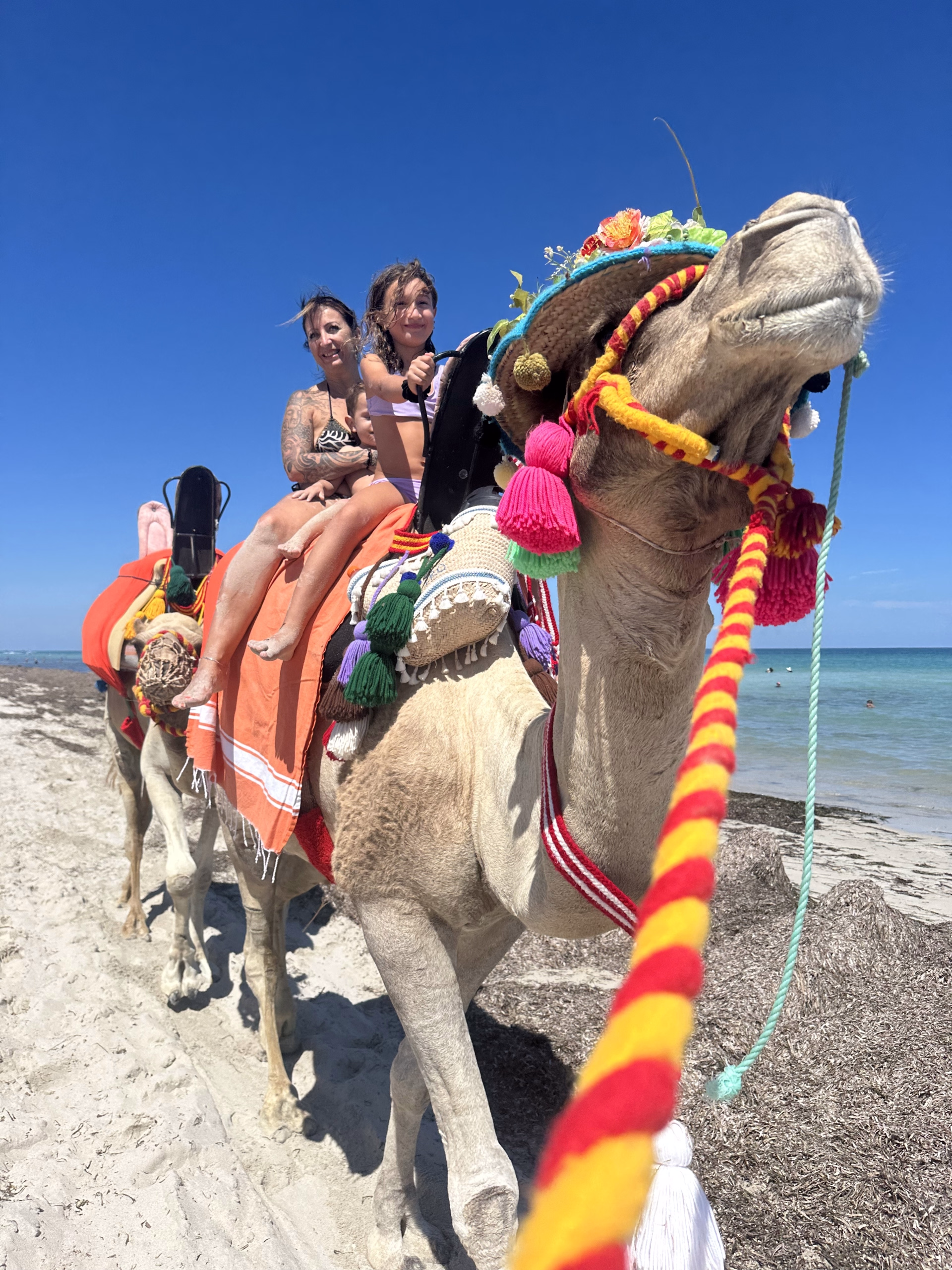 Séjour Kitesurf & Découverte à Djerba