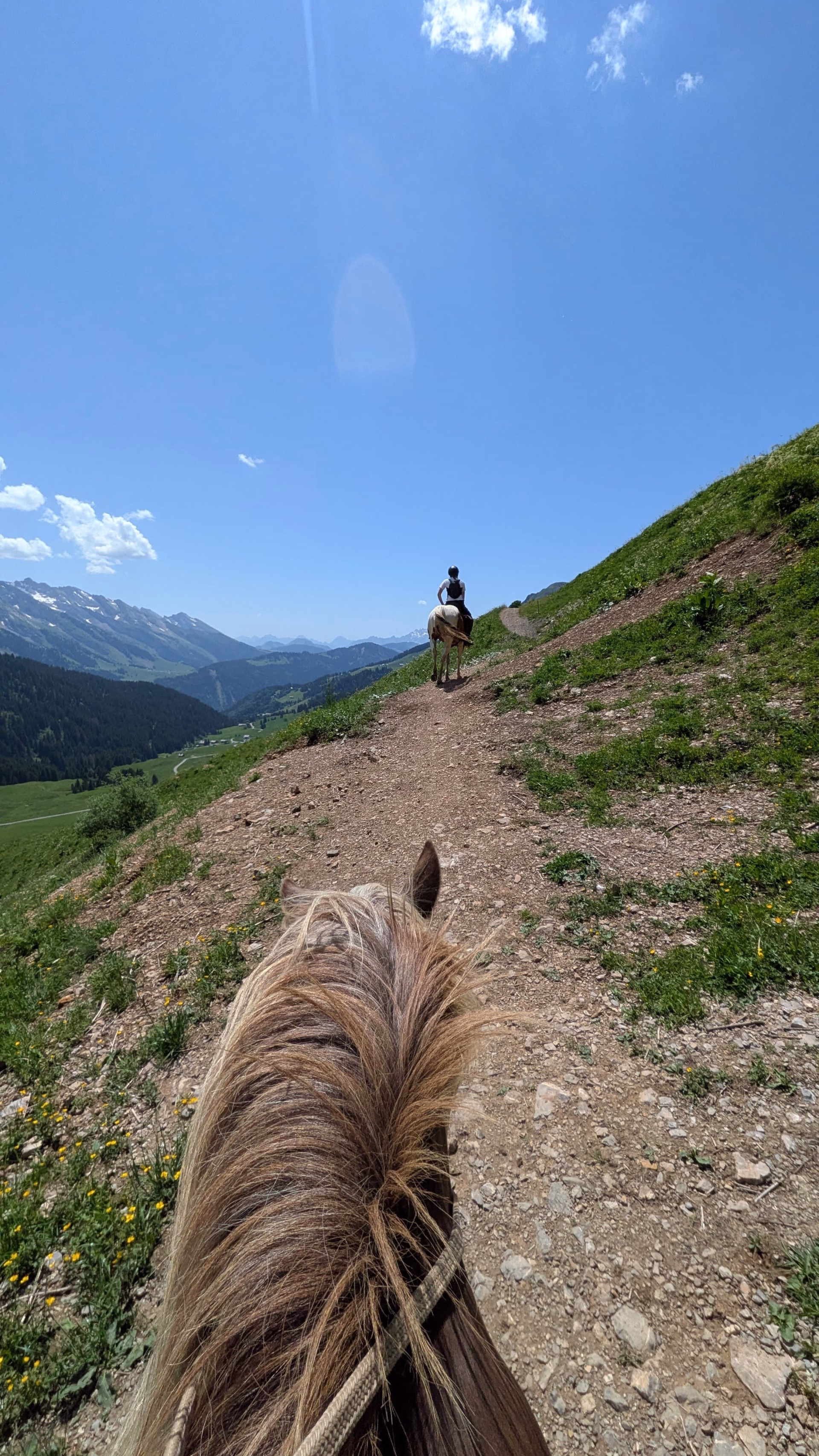 Séjour cheval et bien être dans les Aravis