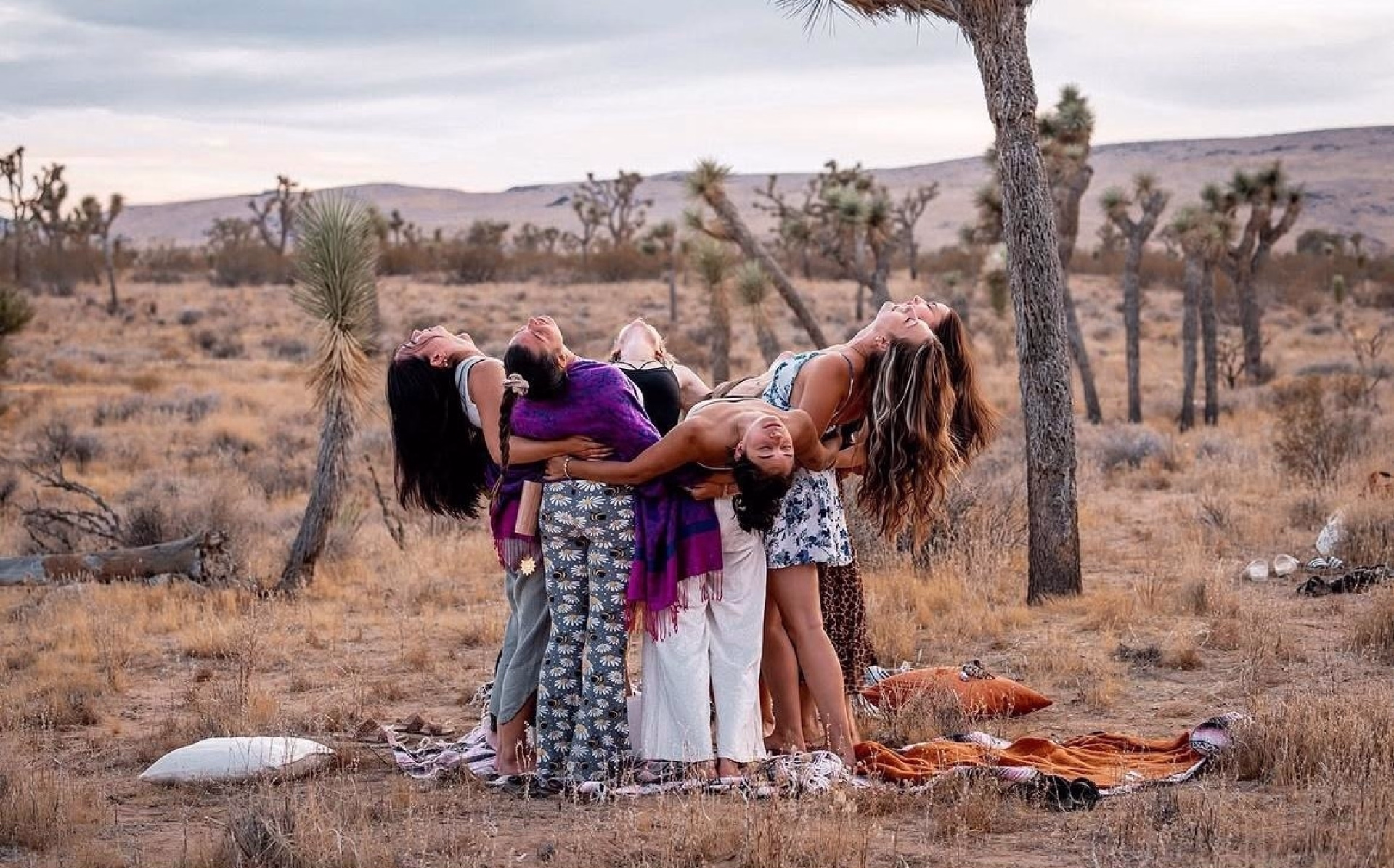 Désert sauvage — 6 jours de yoga & d'aventure à Joshua Tree